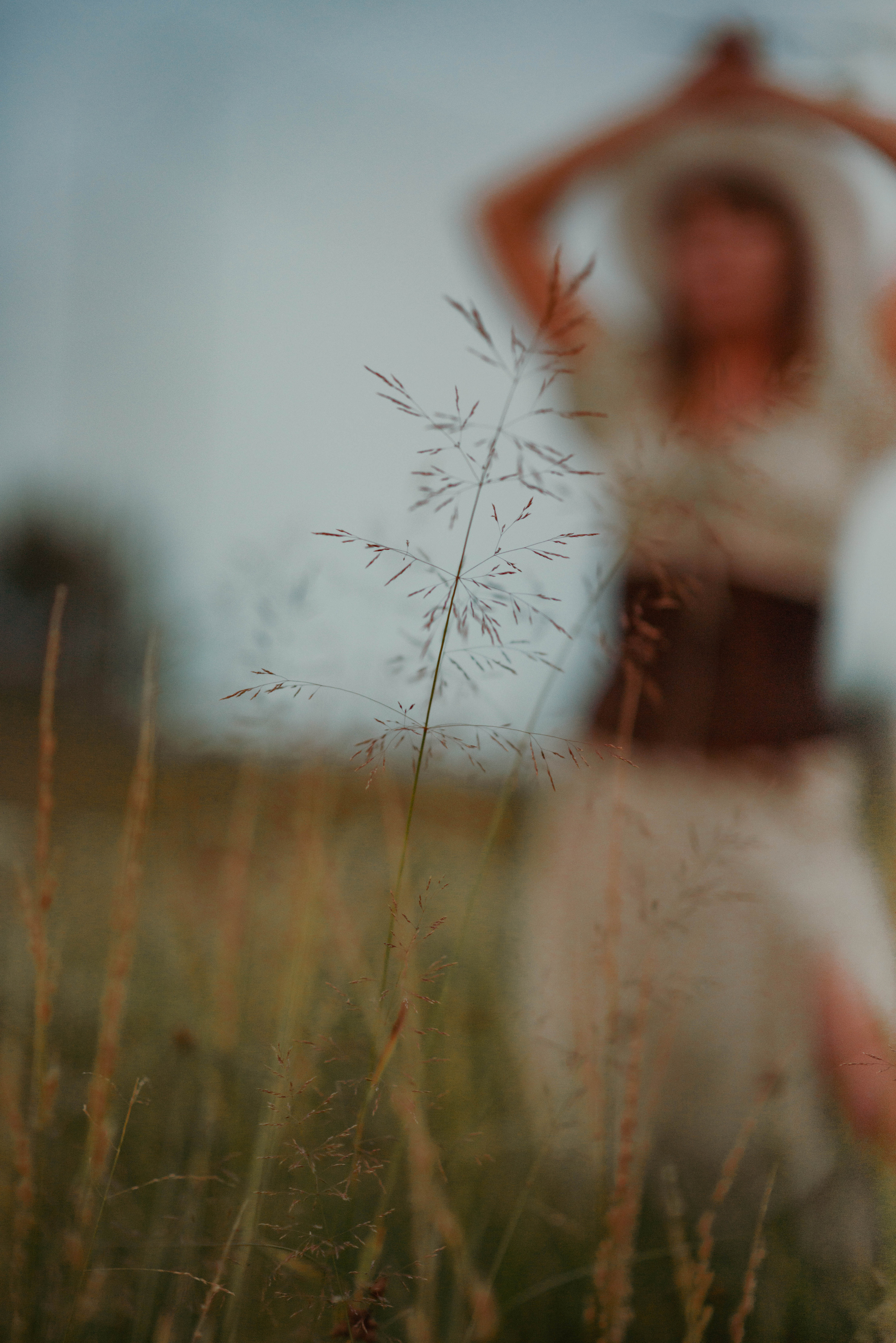 Девушка и её верный конь. Семейный и свадебный фотограф в Абакане Юлия Су