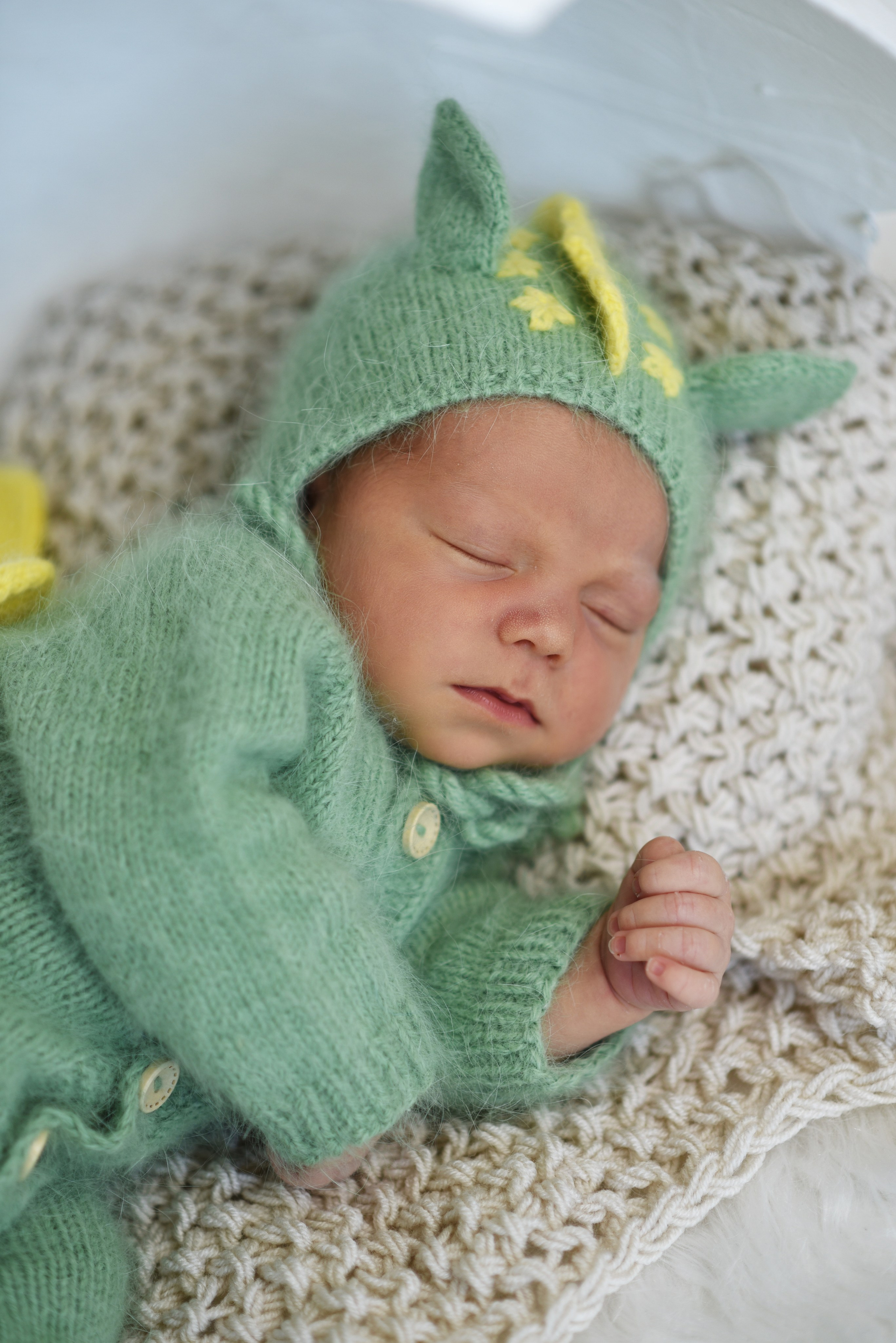 Артем-динозаврик. Семейный, детский и школьный фотограф в Димитровграде Наумова Екатерина