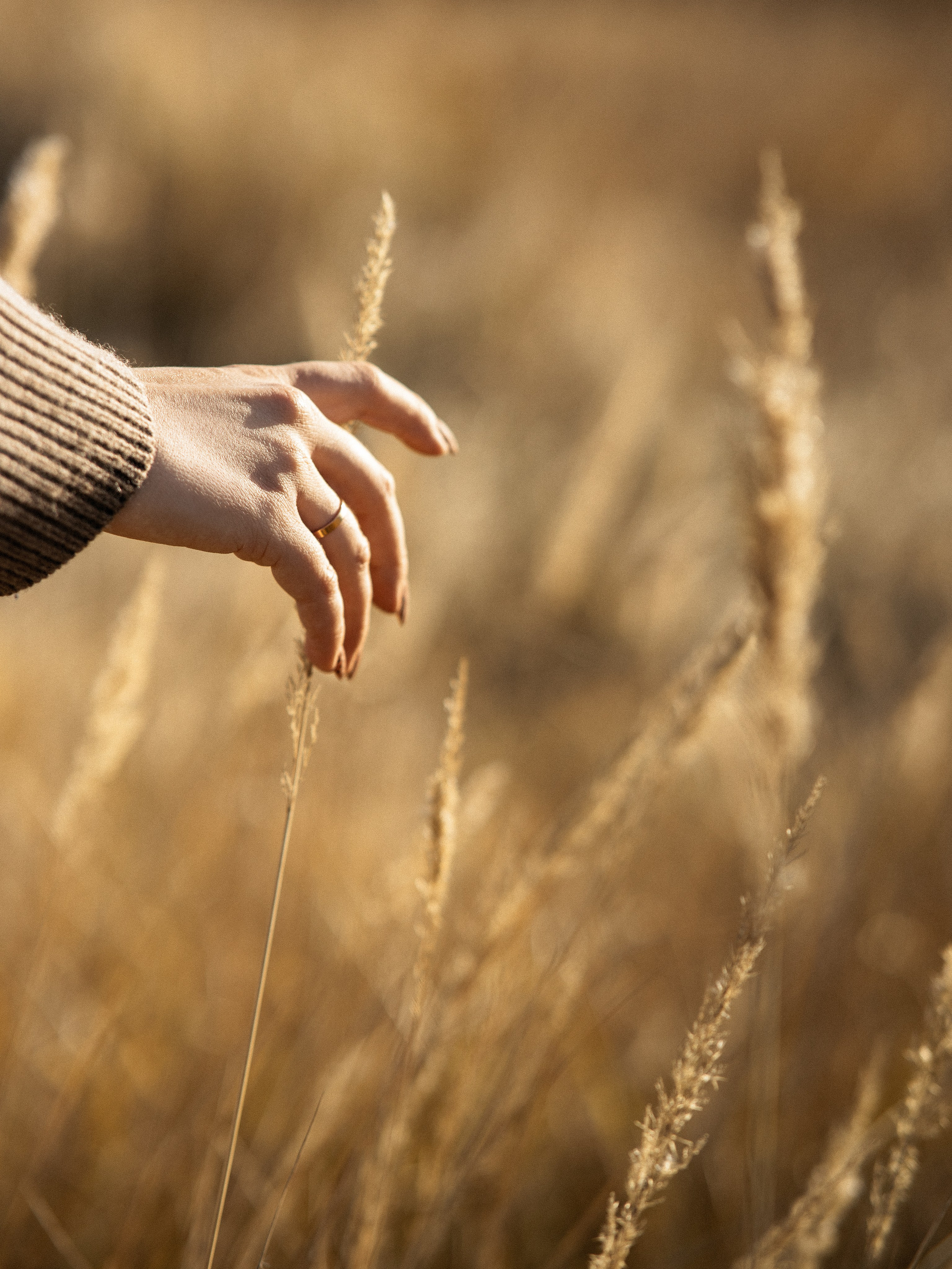 Артём и Алина. Свадебный фотограф Челябинск Зиненко Виктория