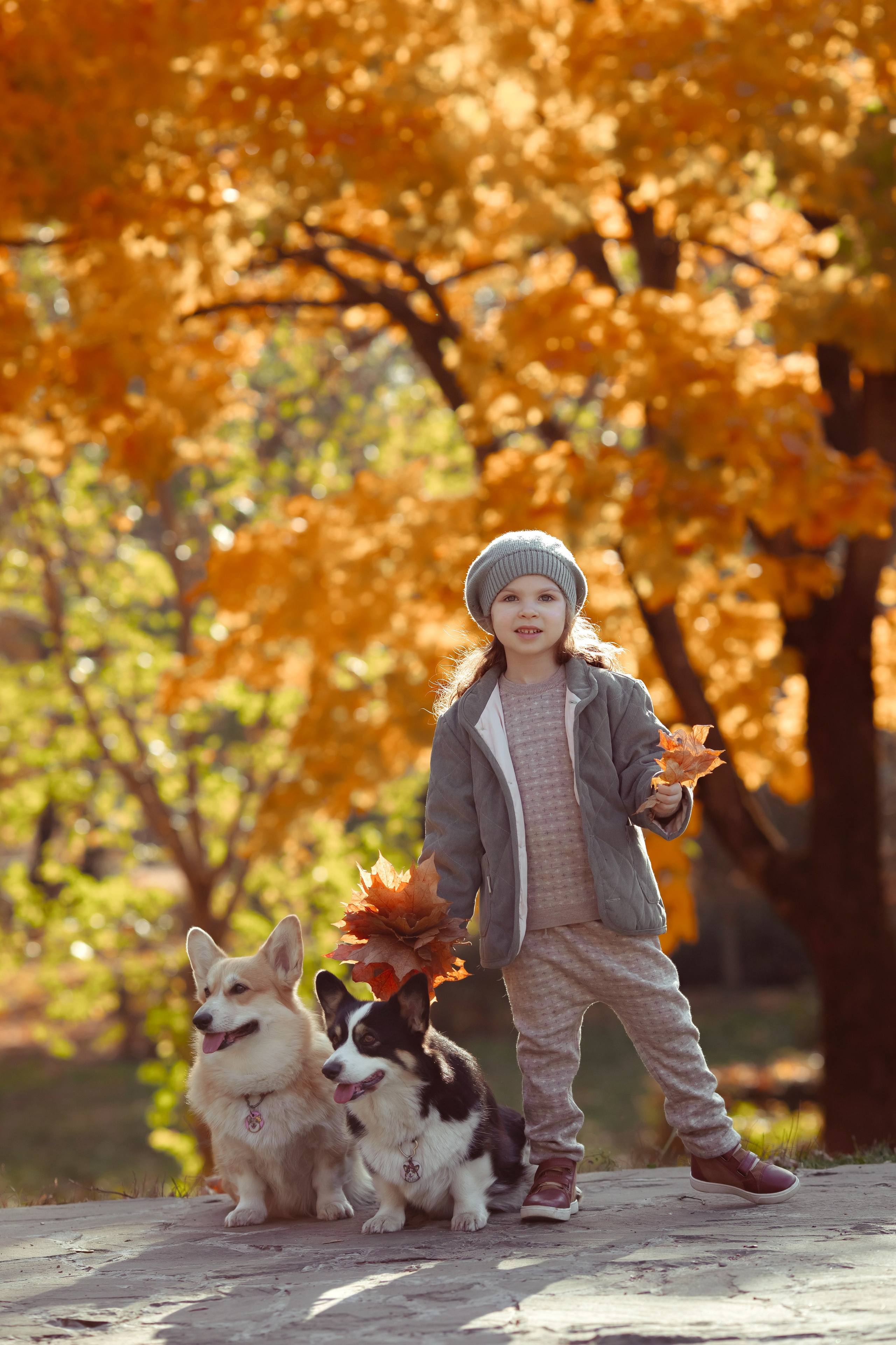 Эва с корги. Семейный и детский фотограф в Москве Дорогова Екатерина