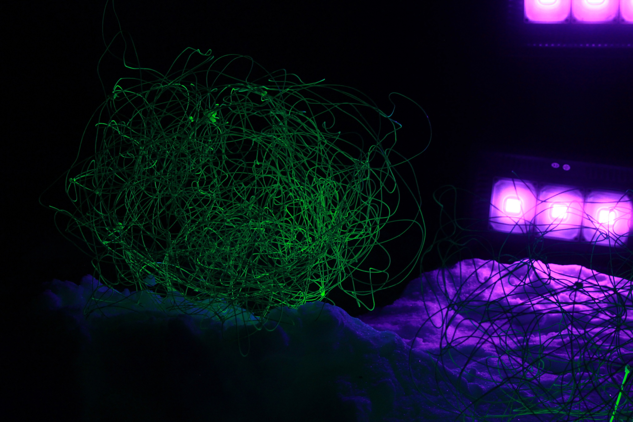 НЕ ТЕМНО 2024