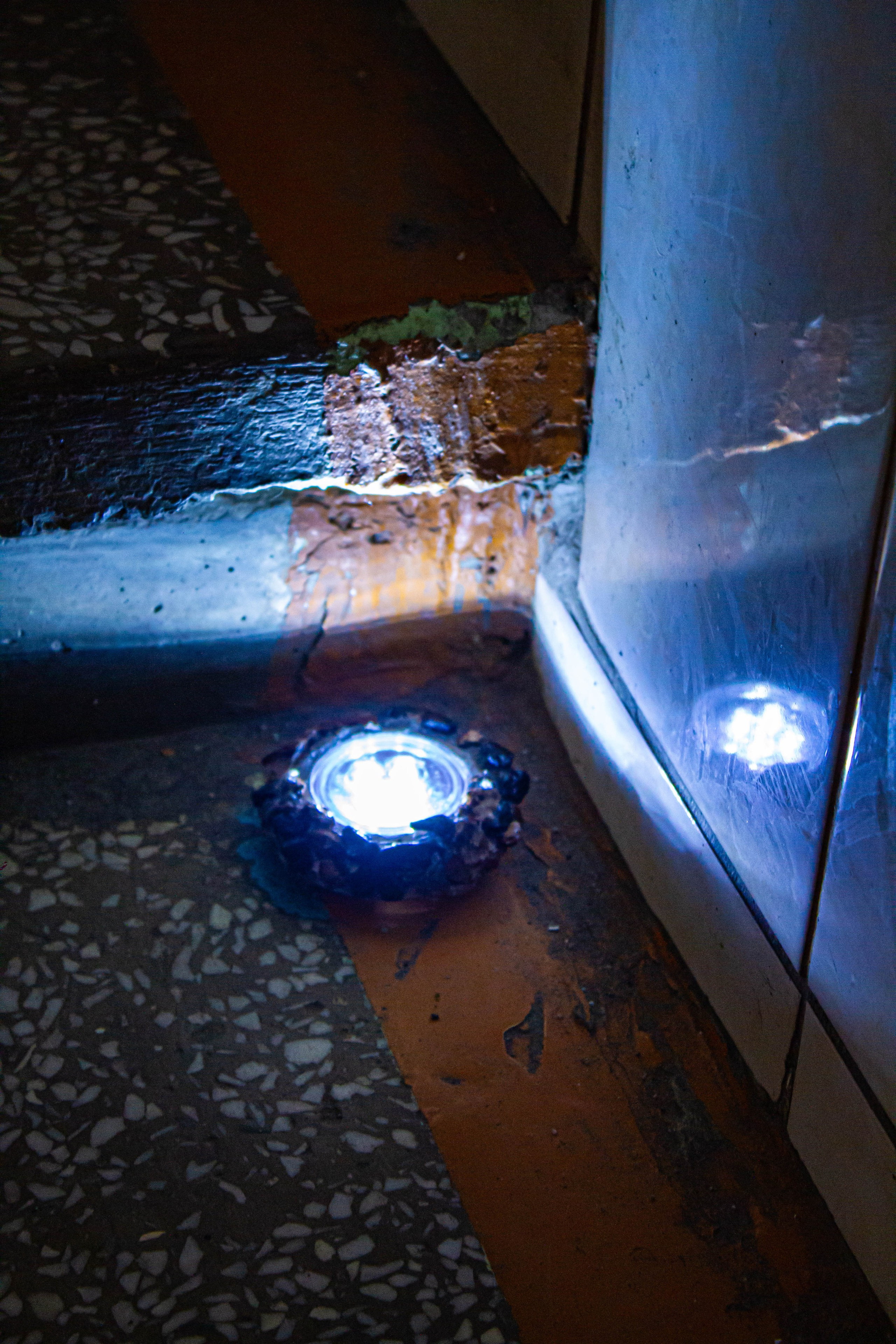 НЕ ТЕМНО_ЛИЦЕЙ им. С. П. ДЯГИЛЕВА 2025