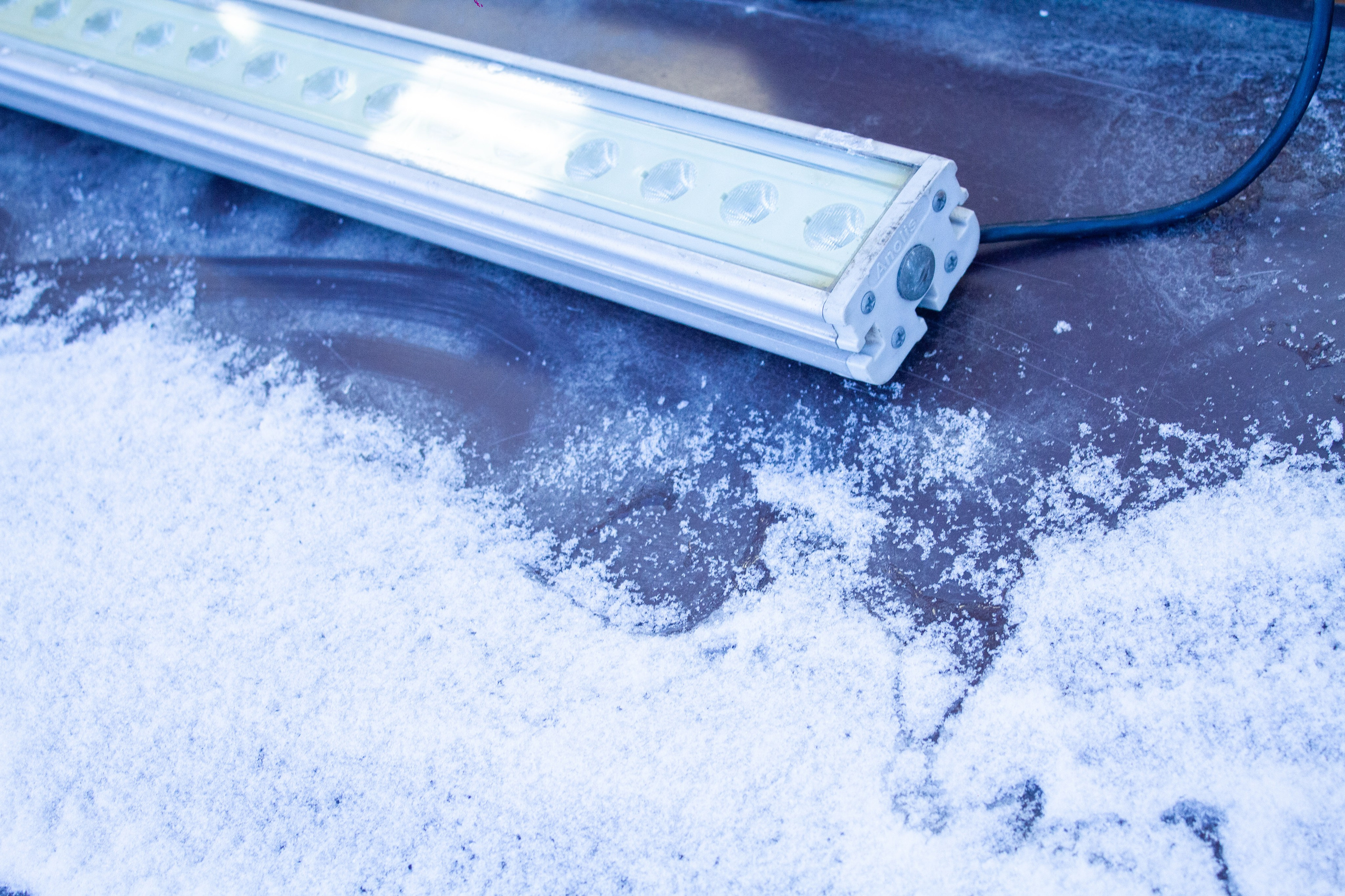 Профориентационный вечер профиля «Цифровое искусство» в Екатеринбургской академии современного искусства 2024