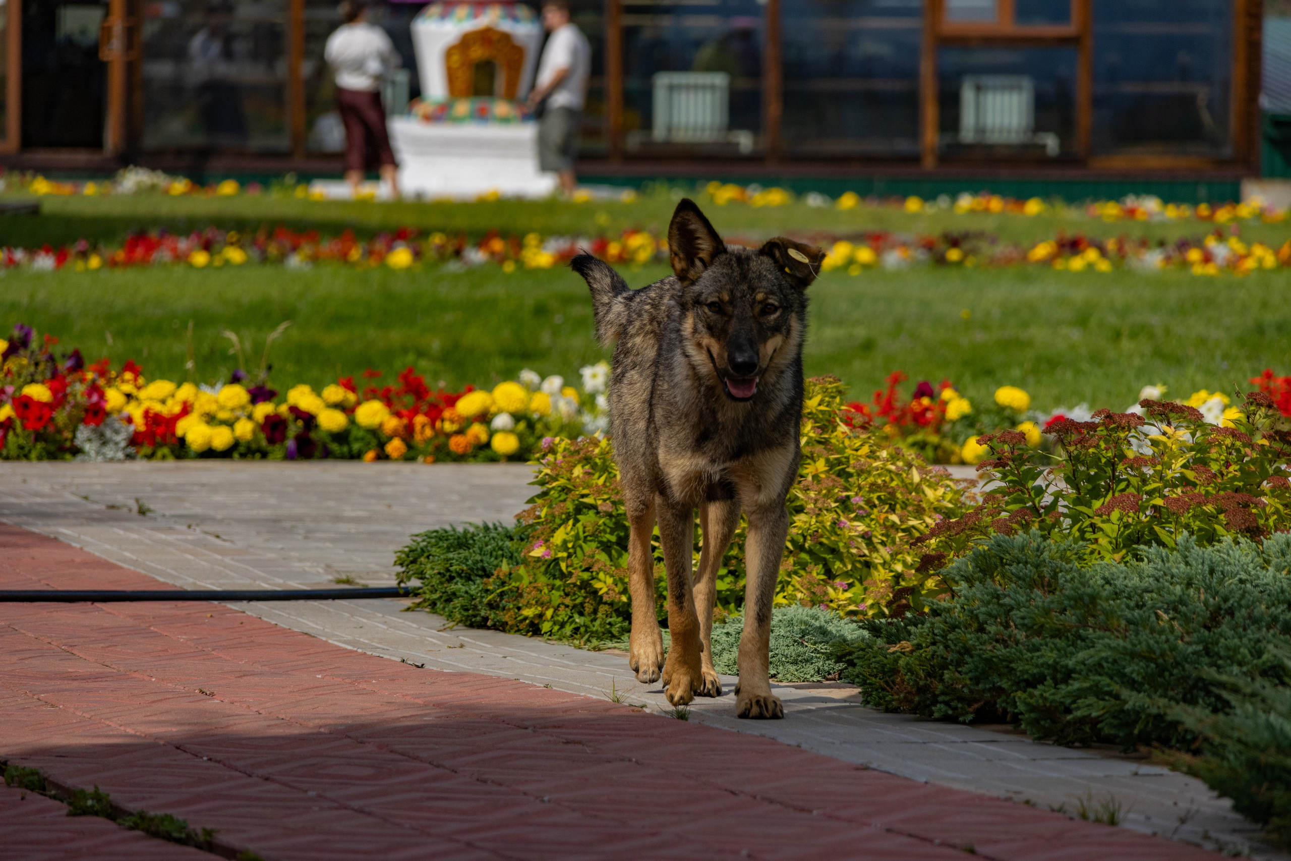 Улан-Удэ. Jean De Vivre Gallery