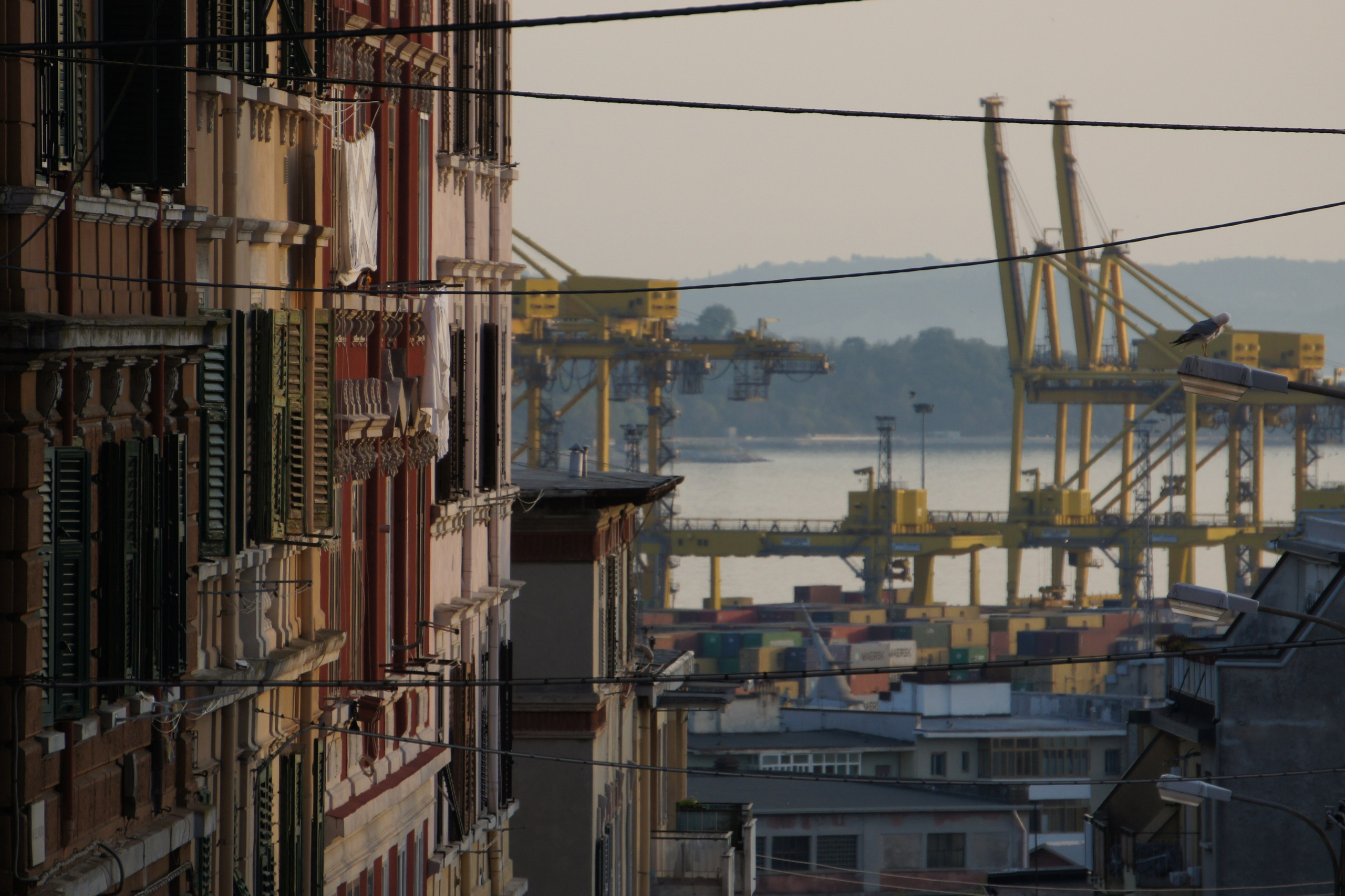 Trieste my love. Fotografo Alina Imanbaeva Trieste e FVG