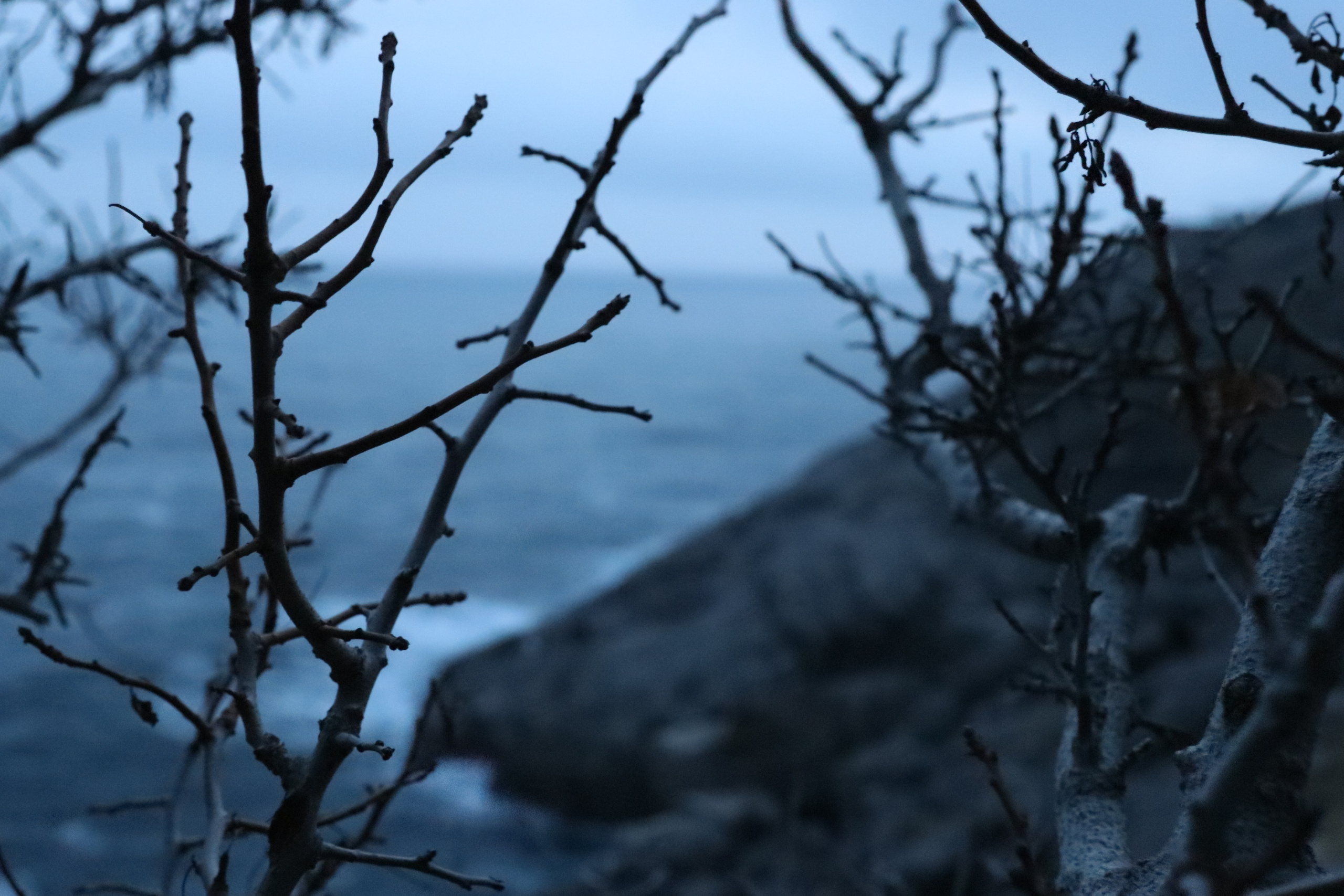 Крым. ЮБК (Гурзуф, Судак и их окрестности). Ноябрь 2023. Путешественник-фотограф из Санкт-Петербурга Татьяна Свистулина