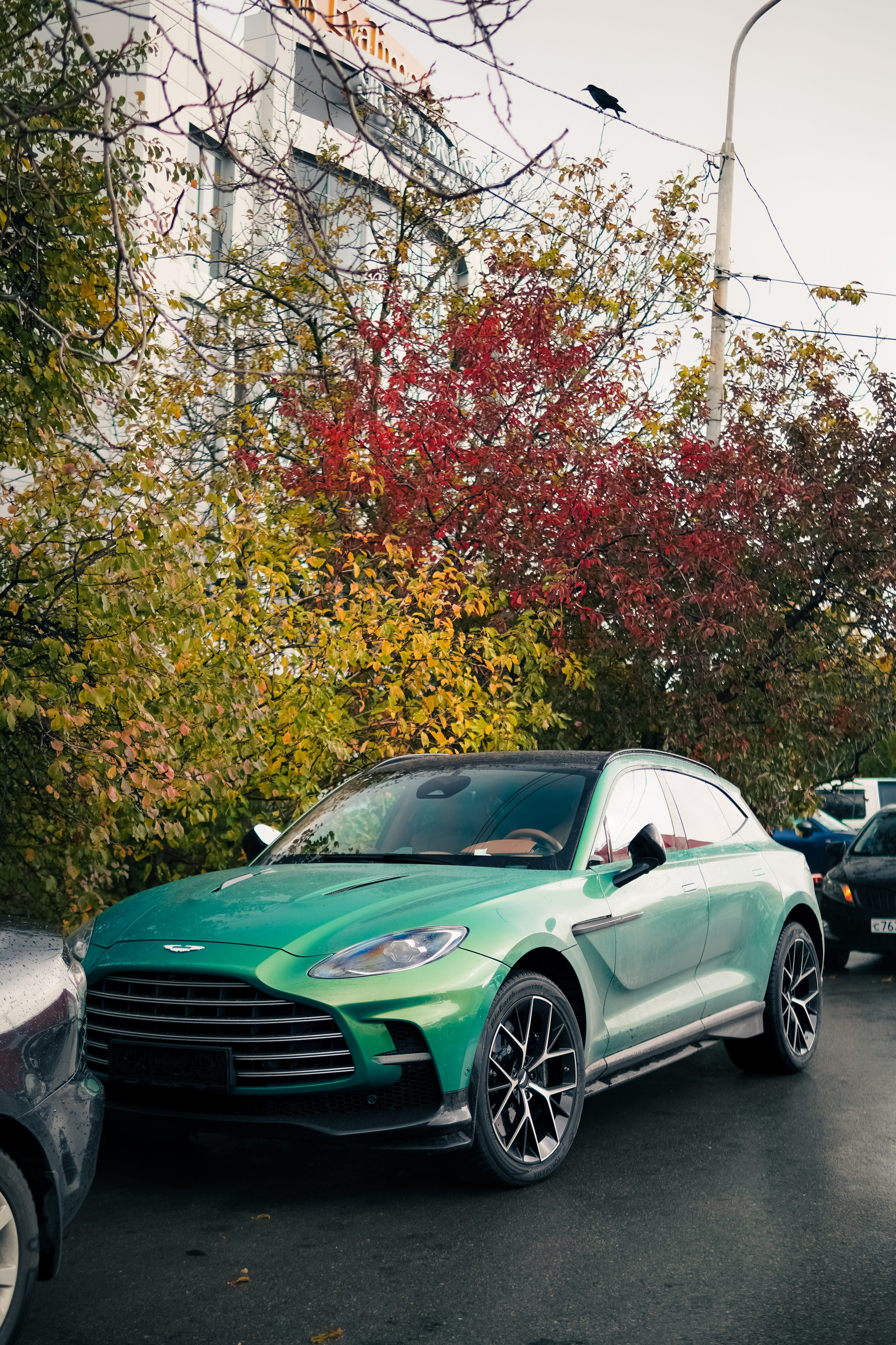 Aston Martin DBX 707. AutoAlexArt