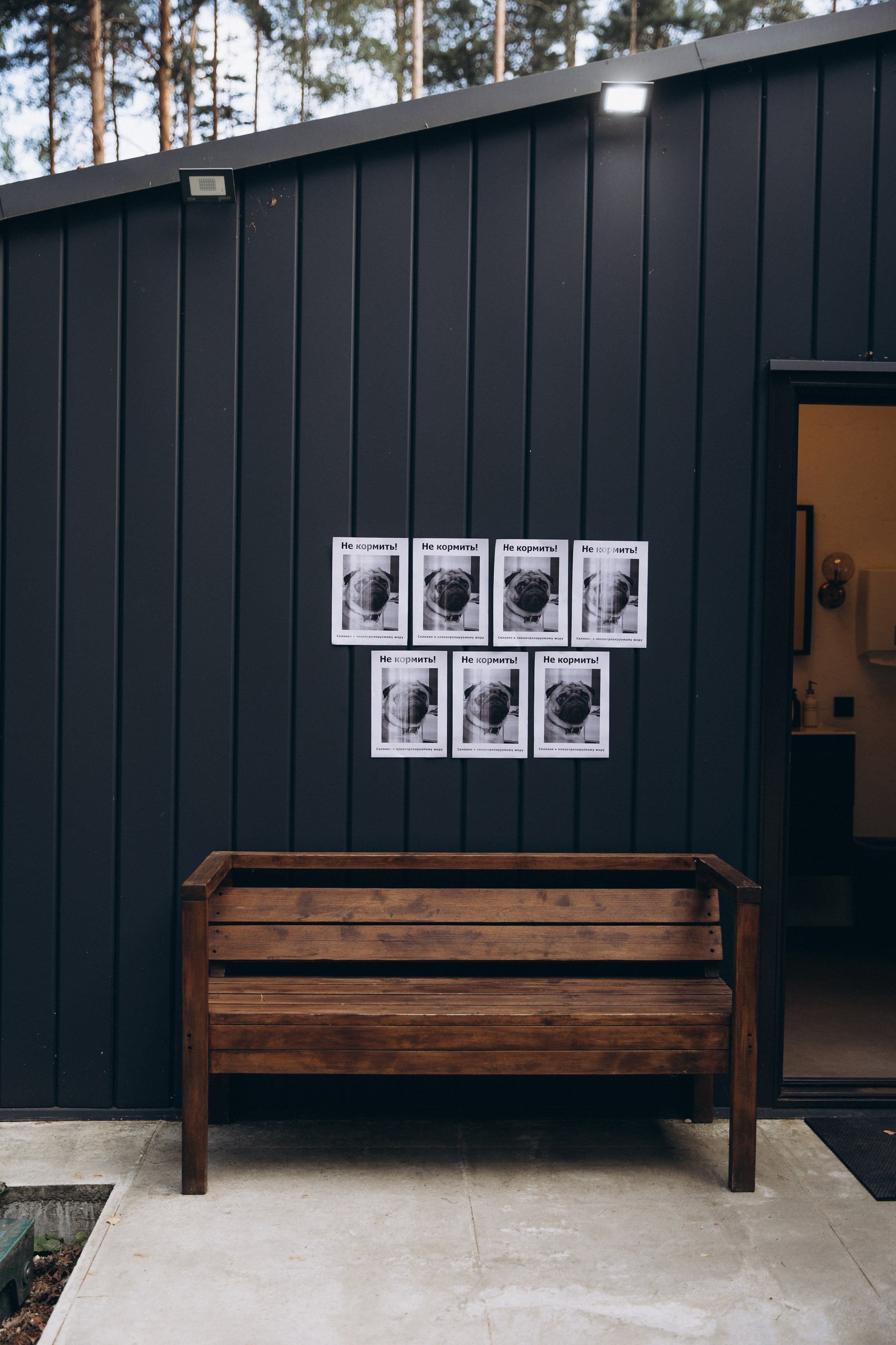 A L E X E Y & L U B O V. Свадебный фотограф в Санкт-Петербурге Илья Михеев