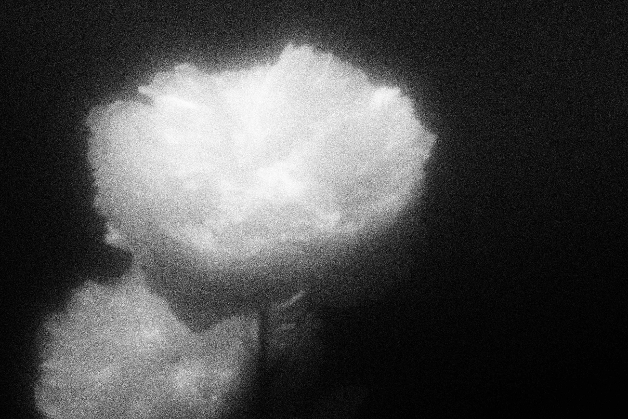 «Видеть. Чувствовать. Сохранять»