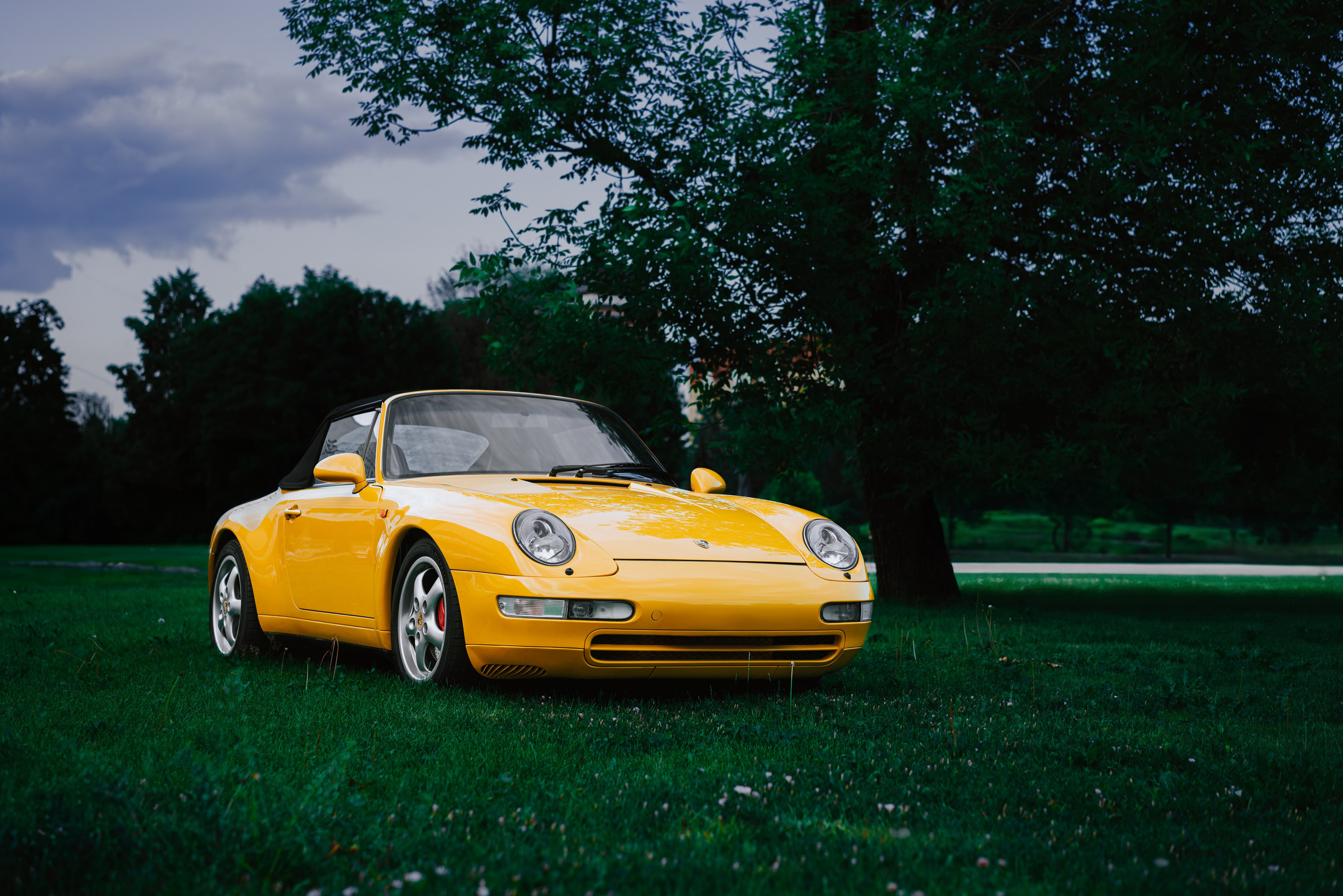 Autoculture. Muzeon Park