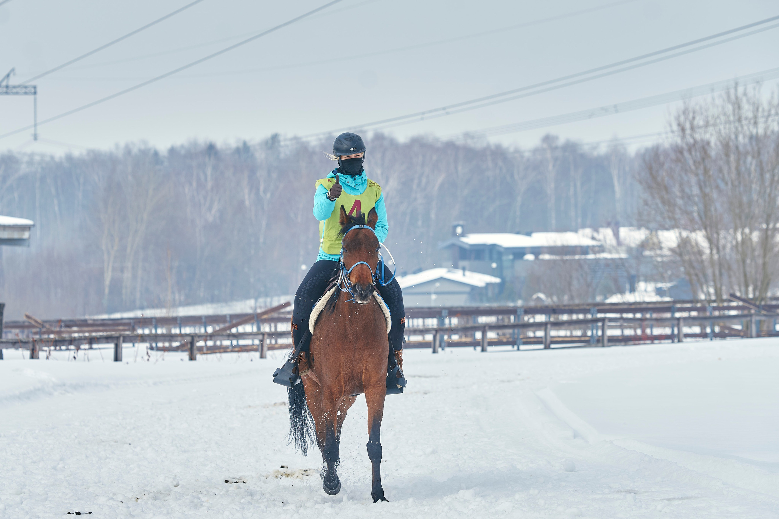HORSE RACING. Фотограф Наталья Леонова