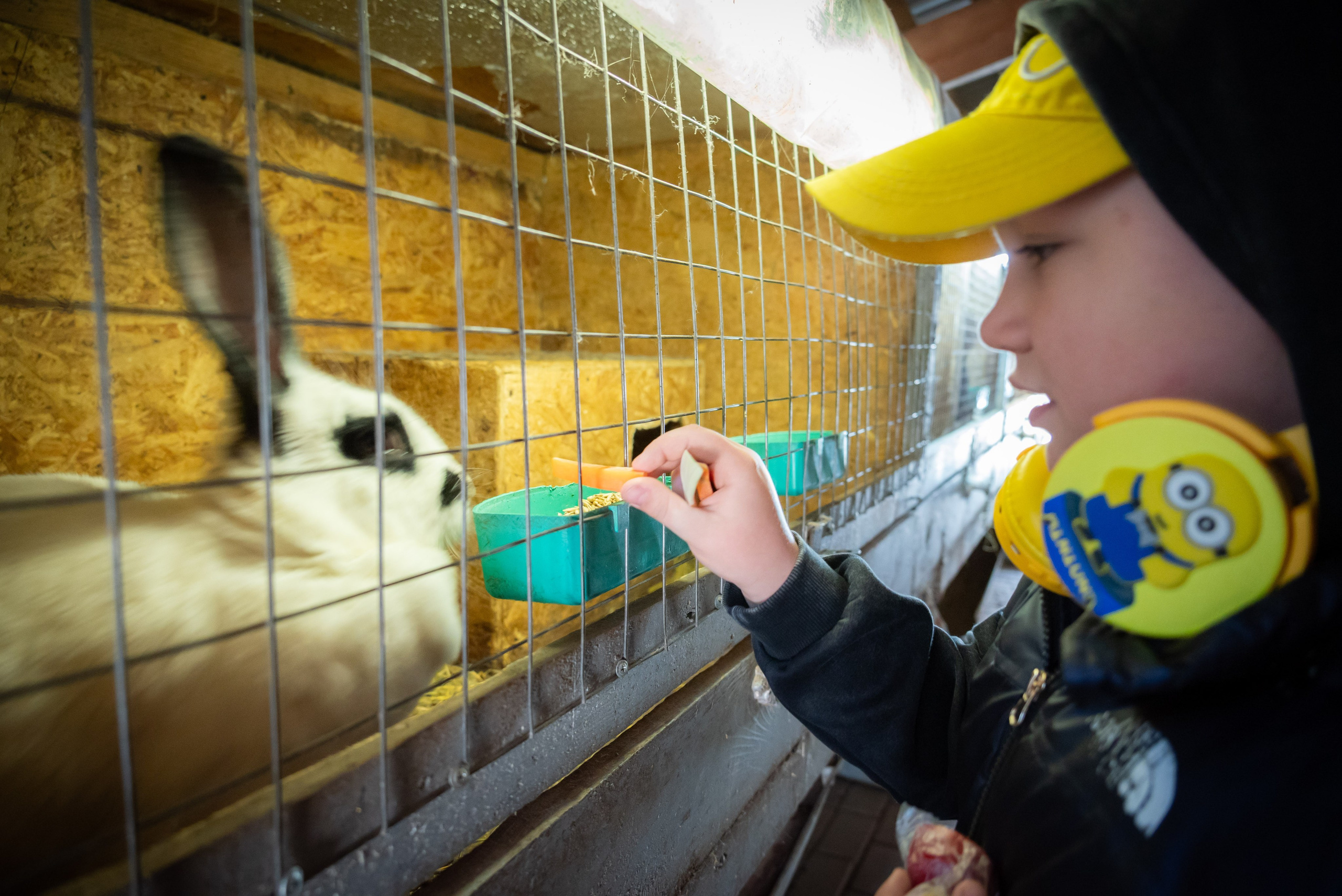 Репортаж. Фотограф Антон Денисенко: Портрет, Репортаж. Москва