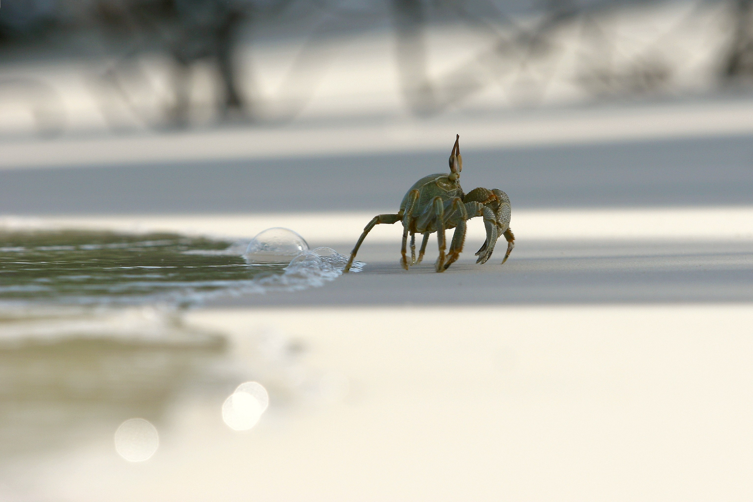 Мальдивы. Фотография, ретушь, сканирование, восстановление старых фото, интерьерная съёмка, студия. Данилов Александр, Москва