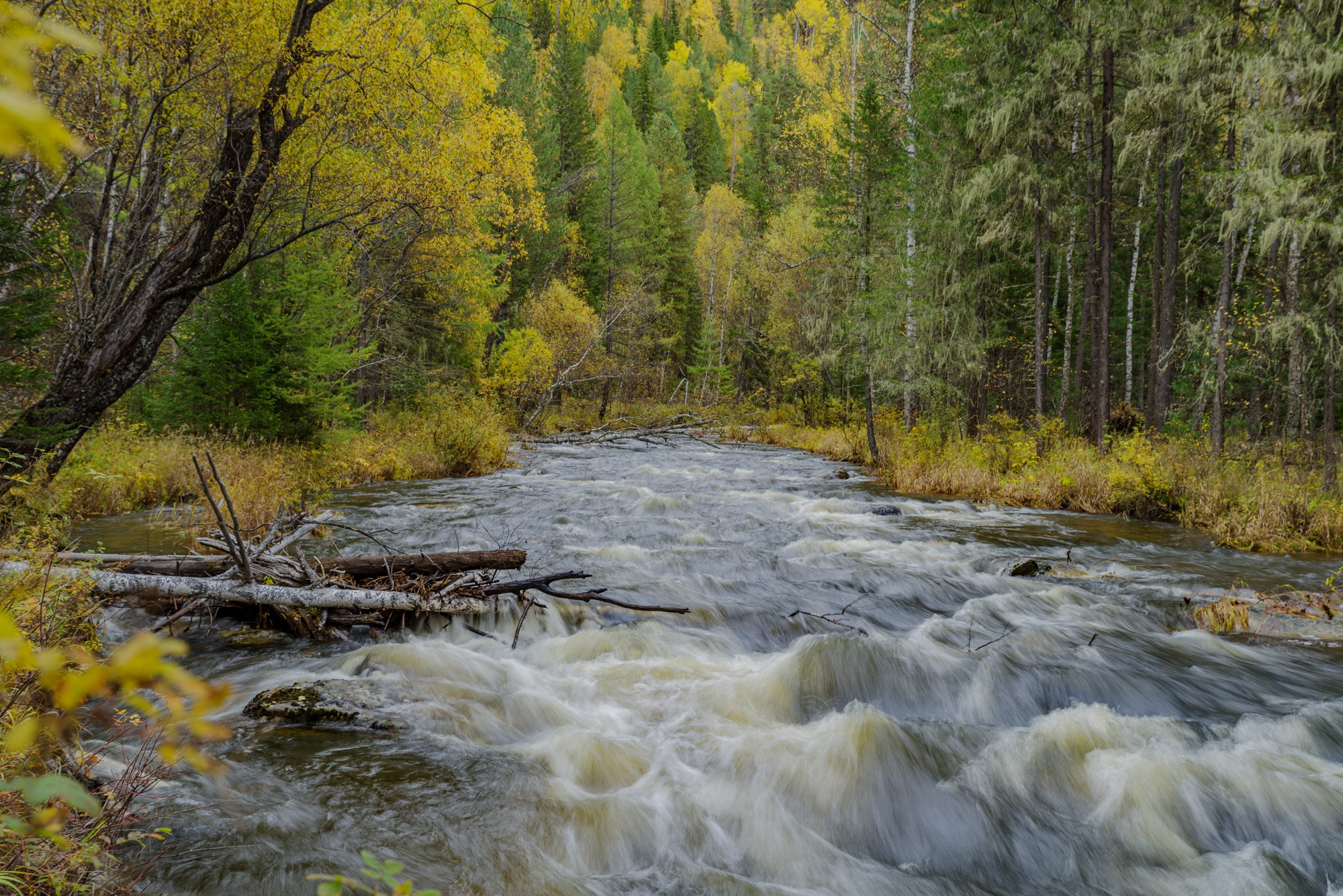 Пейзажи. Семейный и свадебный фотограф в Иркутске Максим Жигалов