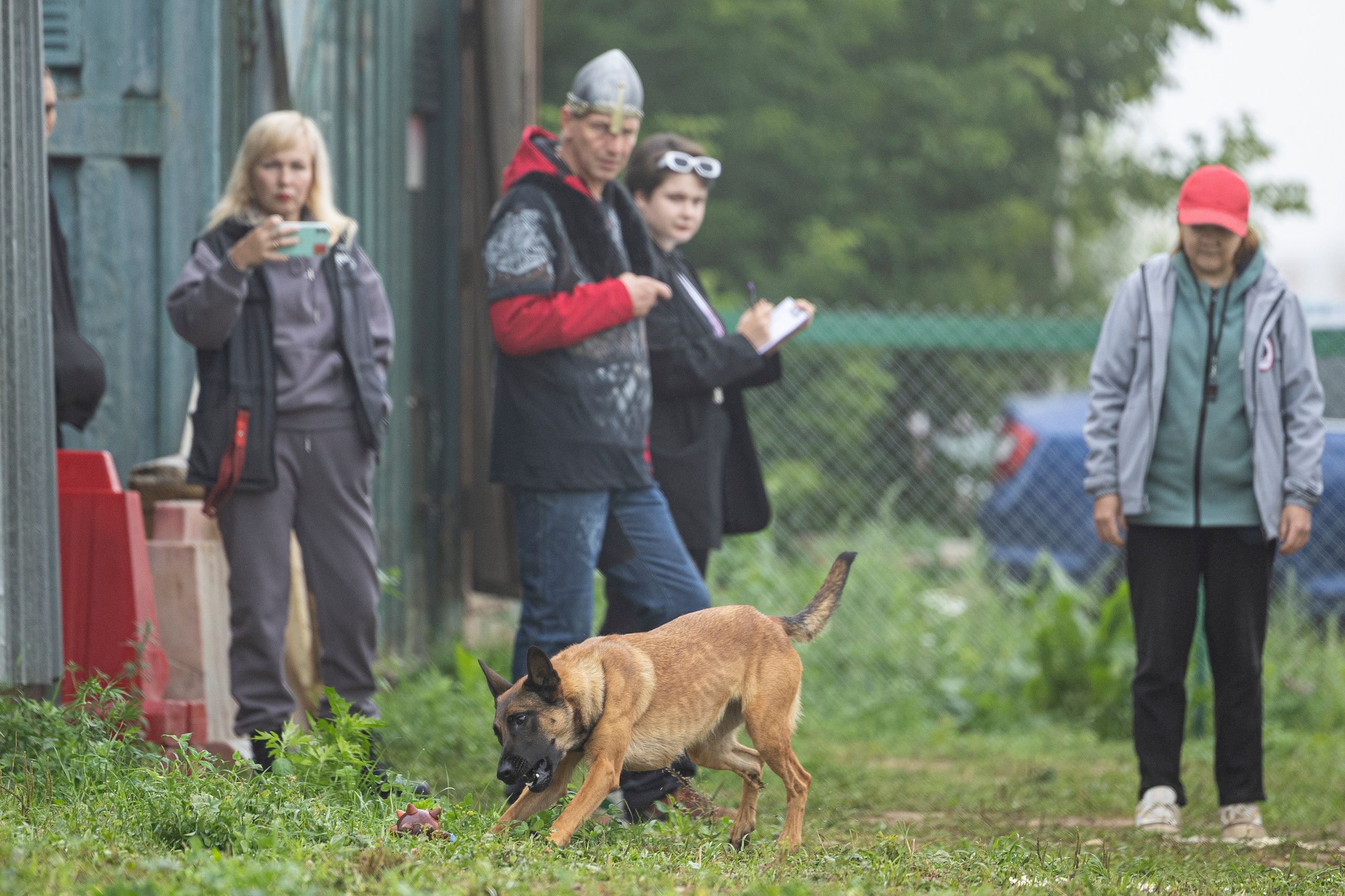 Соревнования по Мондьорингу г. Вологда 10-11.08.2024. Фотограф-анималист Анна Маринич
