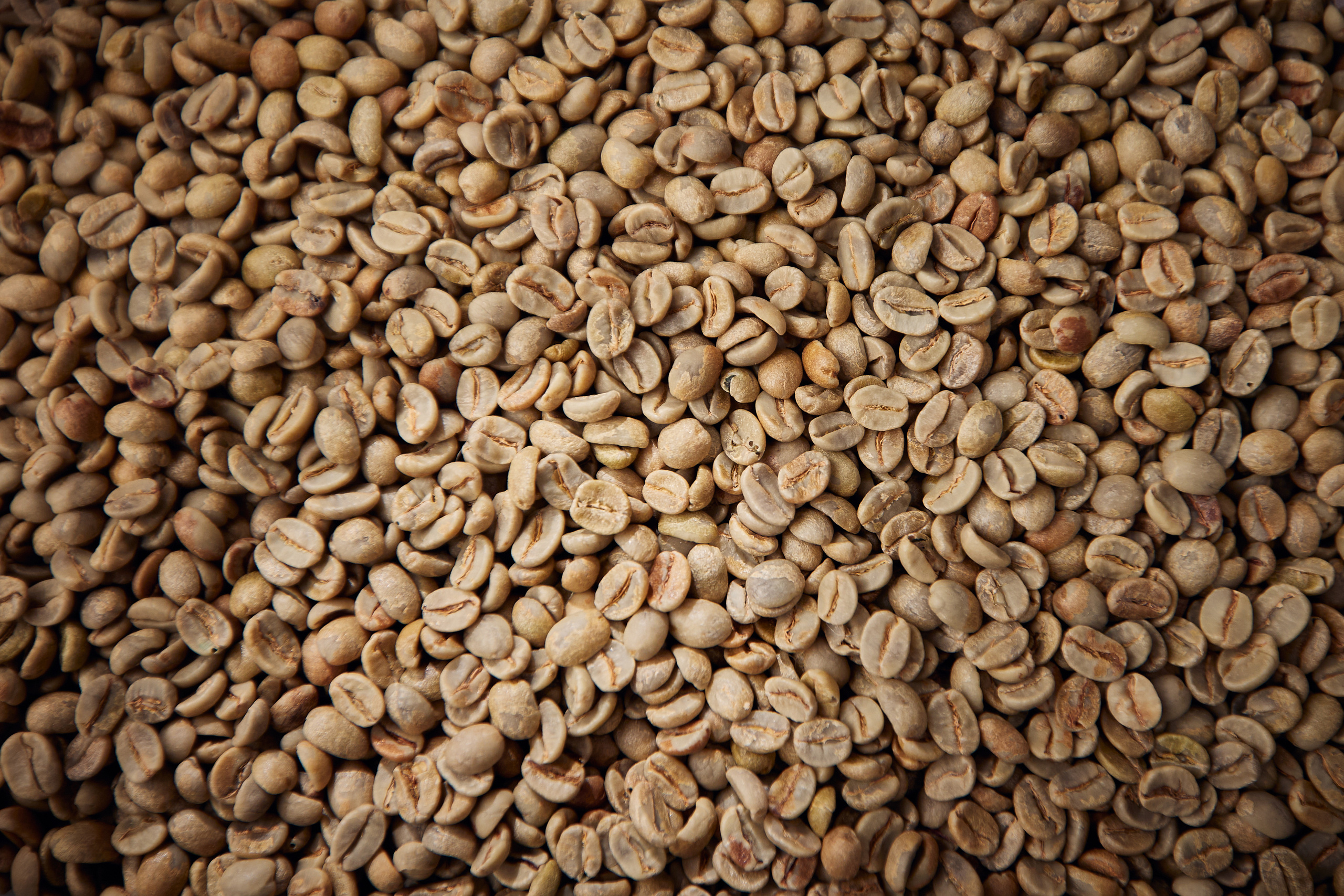 Съемка производителя Rock'n roast. Обжарка и продажа кофе. Контент для бизнеса в Екатеринбурге Полдень Медиа