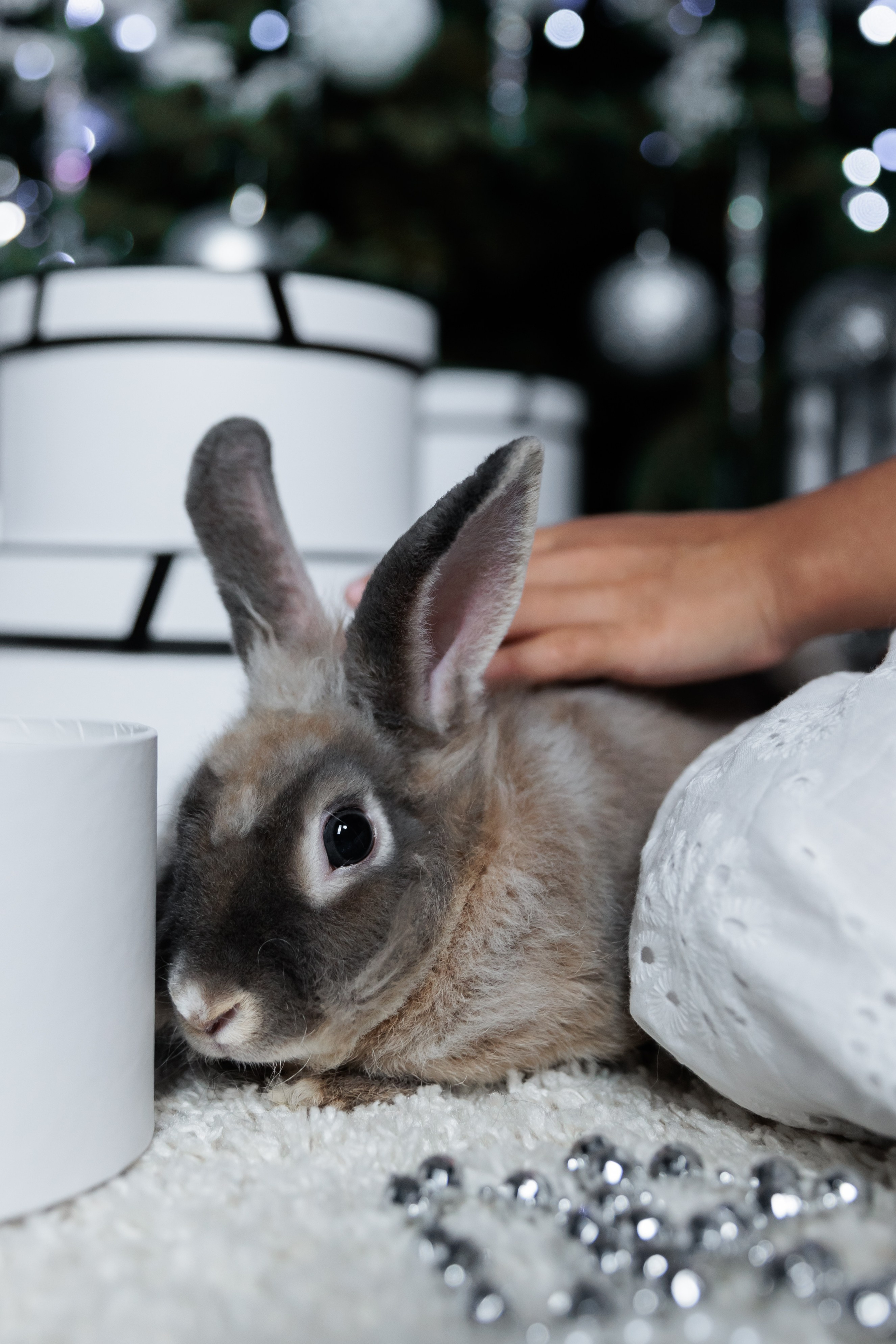 РОЖДЕСТВО. Фотограф семейных, детских, репортажных съёмок г. Уссурийск-Владивосток