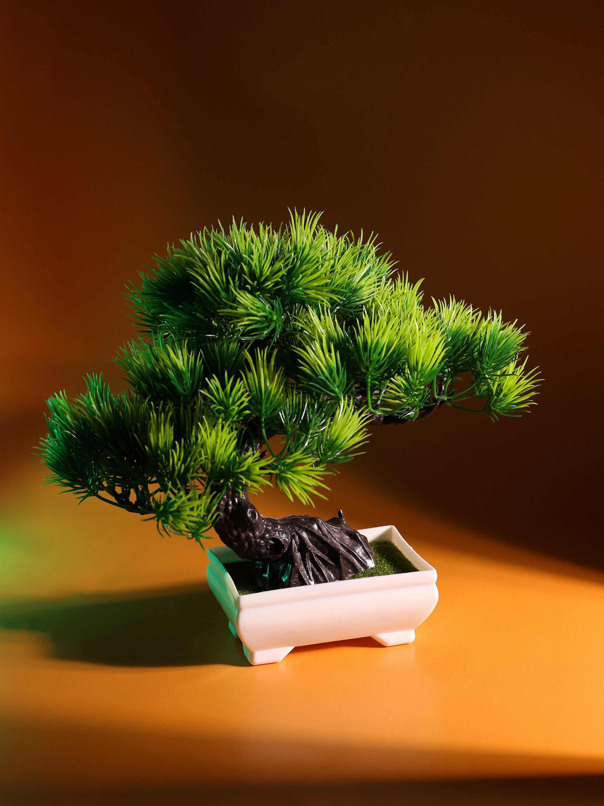 Фотограф. Творческая студия Stories в Кемерово | Мастер-классы и мероприятия