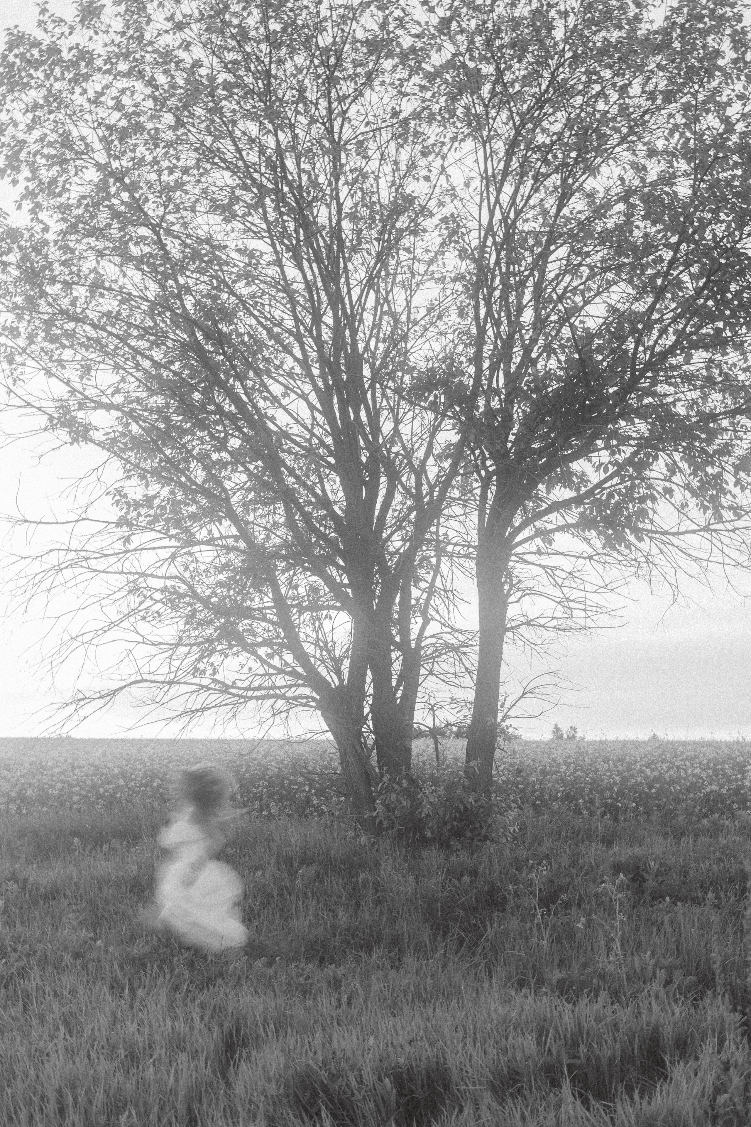 НИГДЕ, КРОМЕ КАК ЗДЕСЬ. Свадебный фотограф Колесников Антон