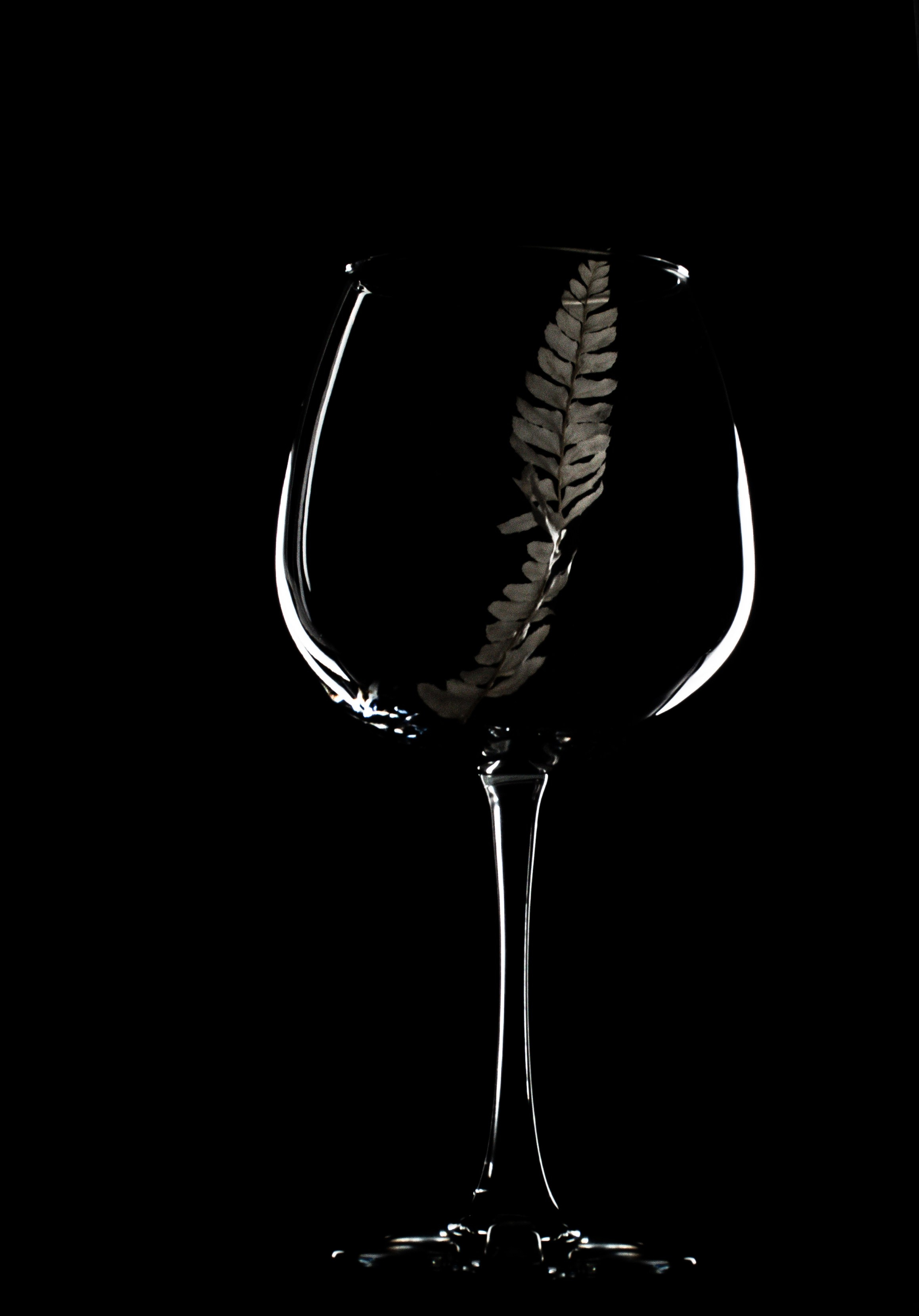 Стеклянные предметы. Предметный, рекламный, ювелирный фотограф в Москве