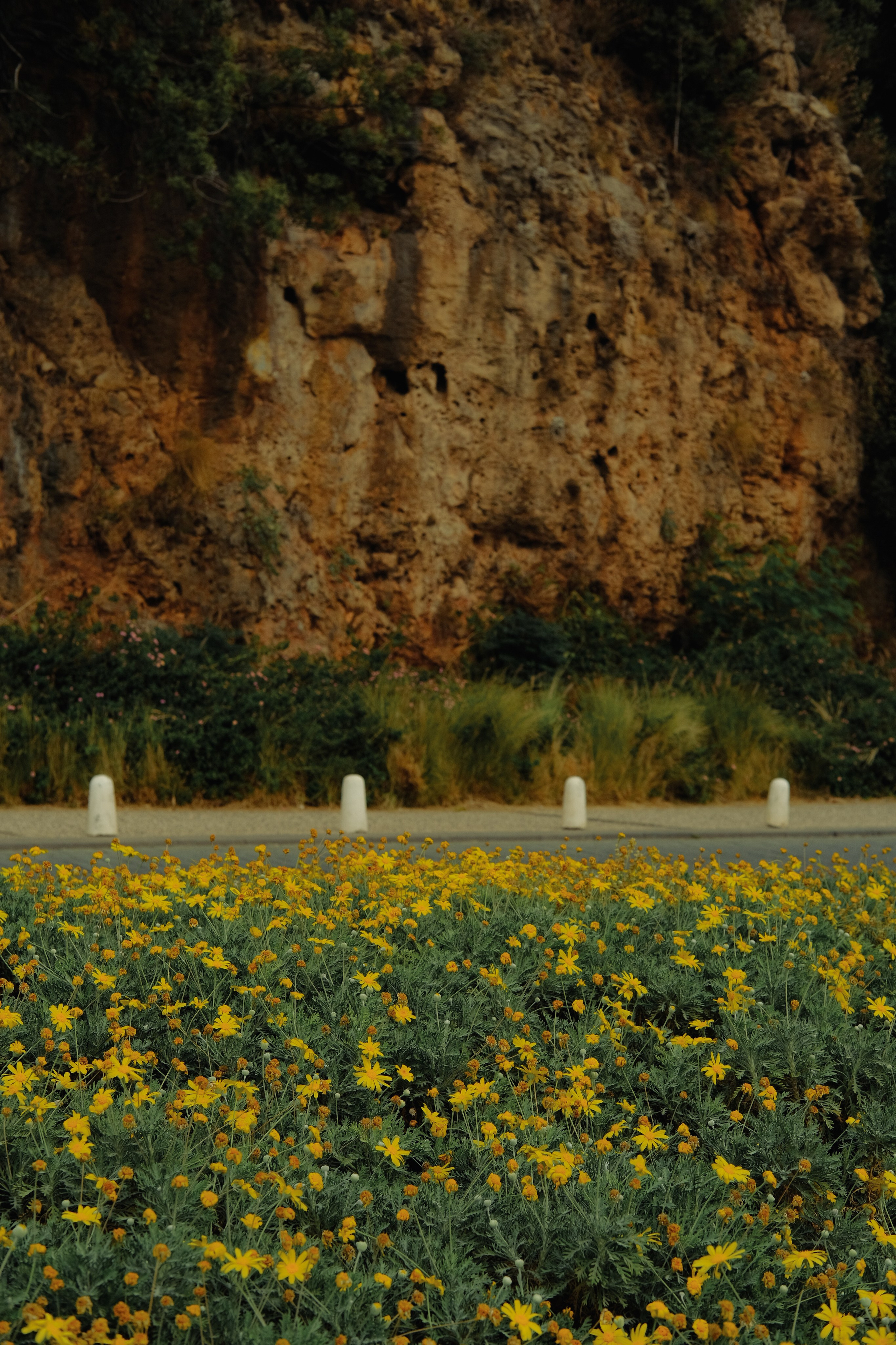 Lycian Way: Turkey. Обо мне