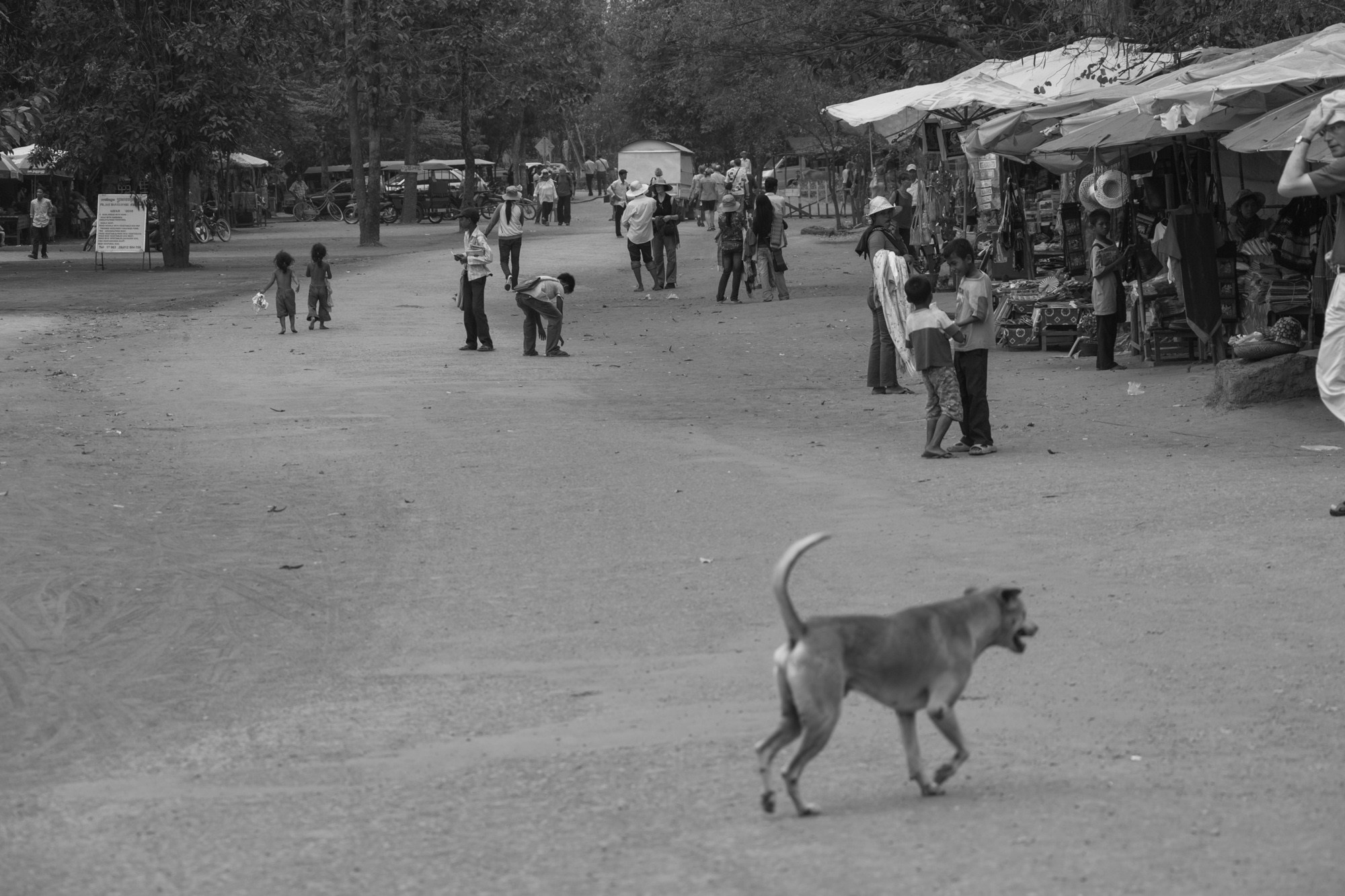 Фотосъёмки в Камбодже. Фотограф Алексей Скоробогатько