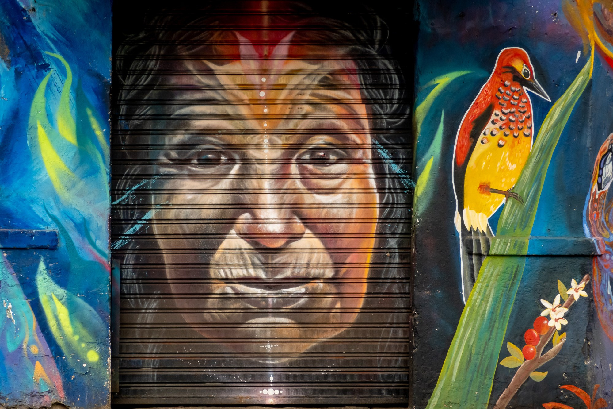 Фотограф Алексей Скоробогатько. Колумбия, г. Кали. Photographer Alexey Skorobogatko. Cali, Colombia. Фотограф Алексей Скоробогатько