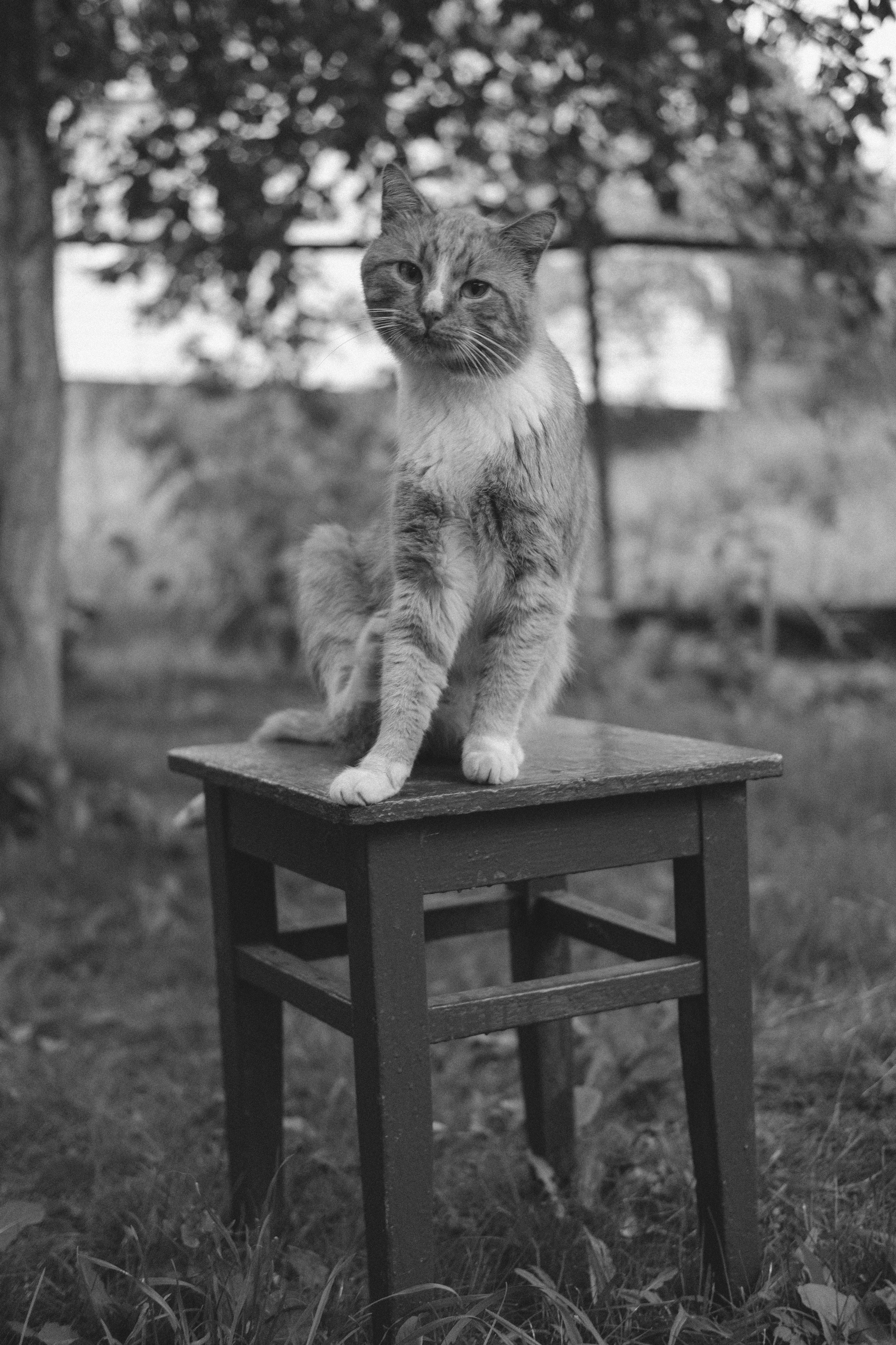 Жизнь сада. Works