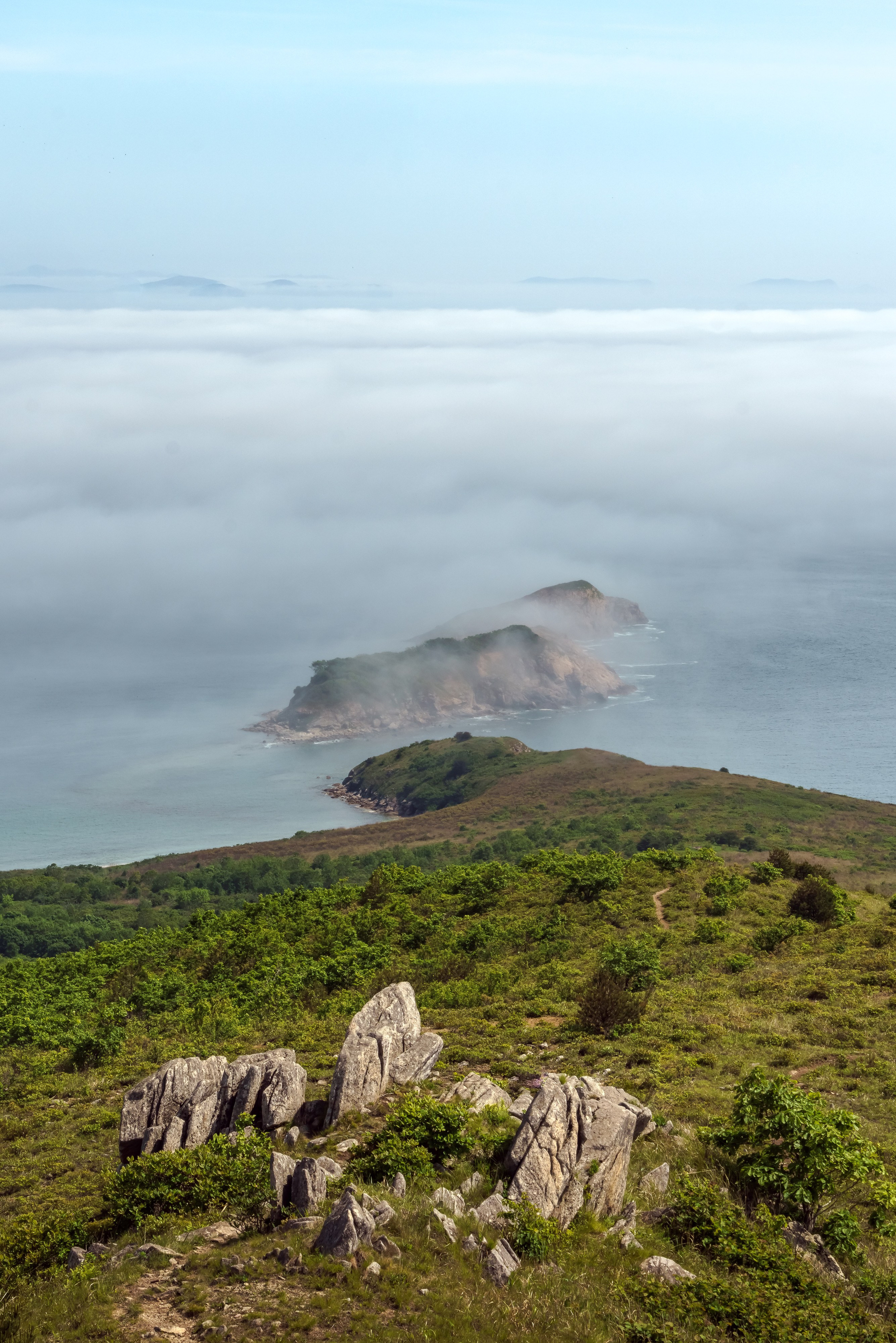 Весеннее Приморье. Май