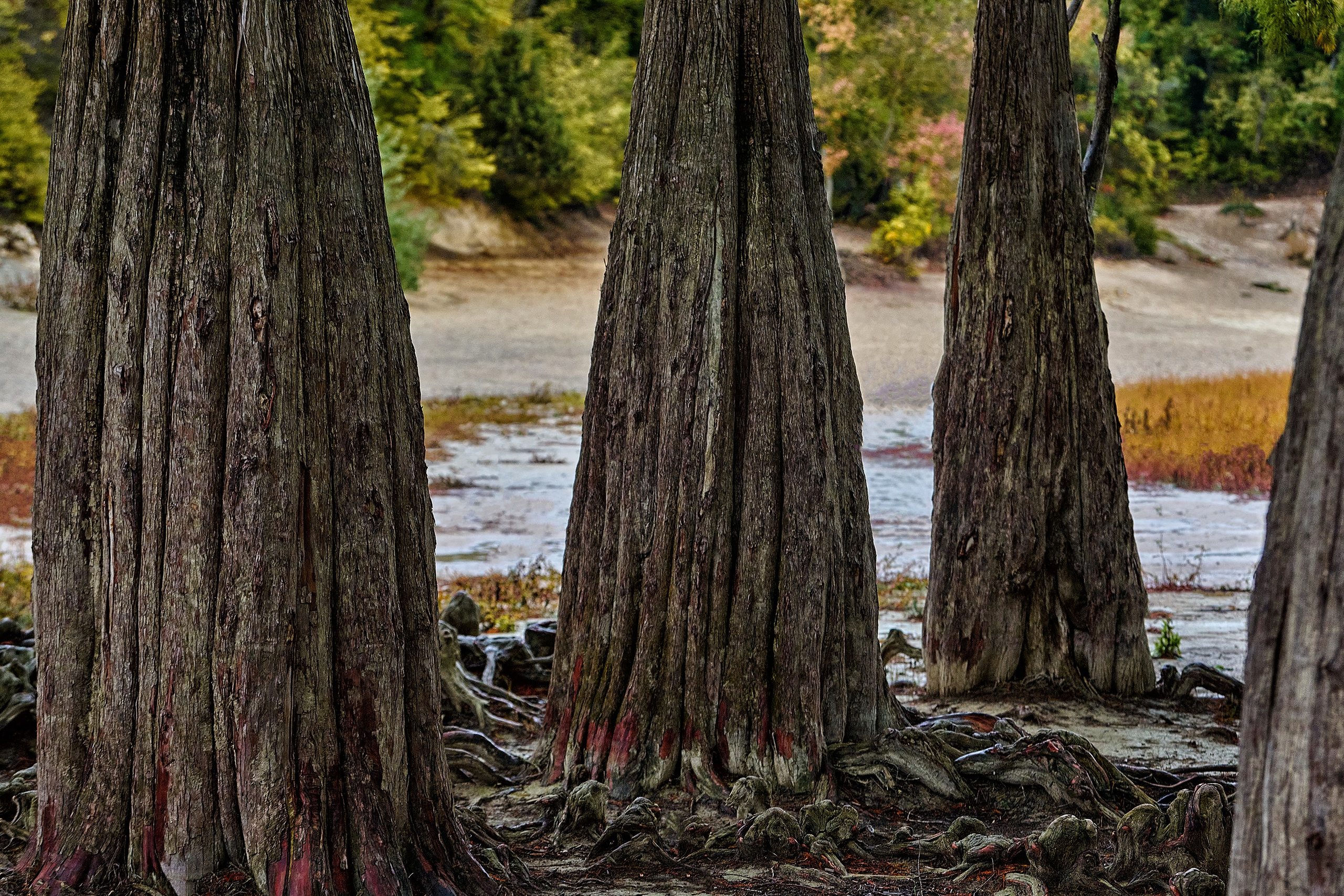 Текстуры и другие фоны. Textures and other. Яркие фото на Чёрном море