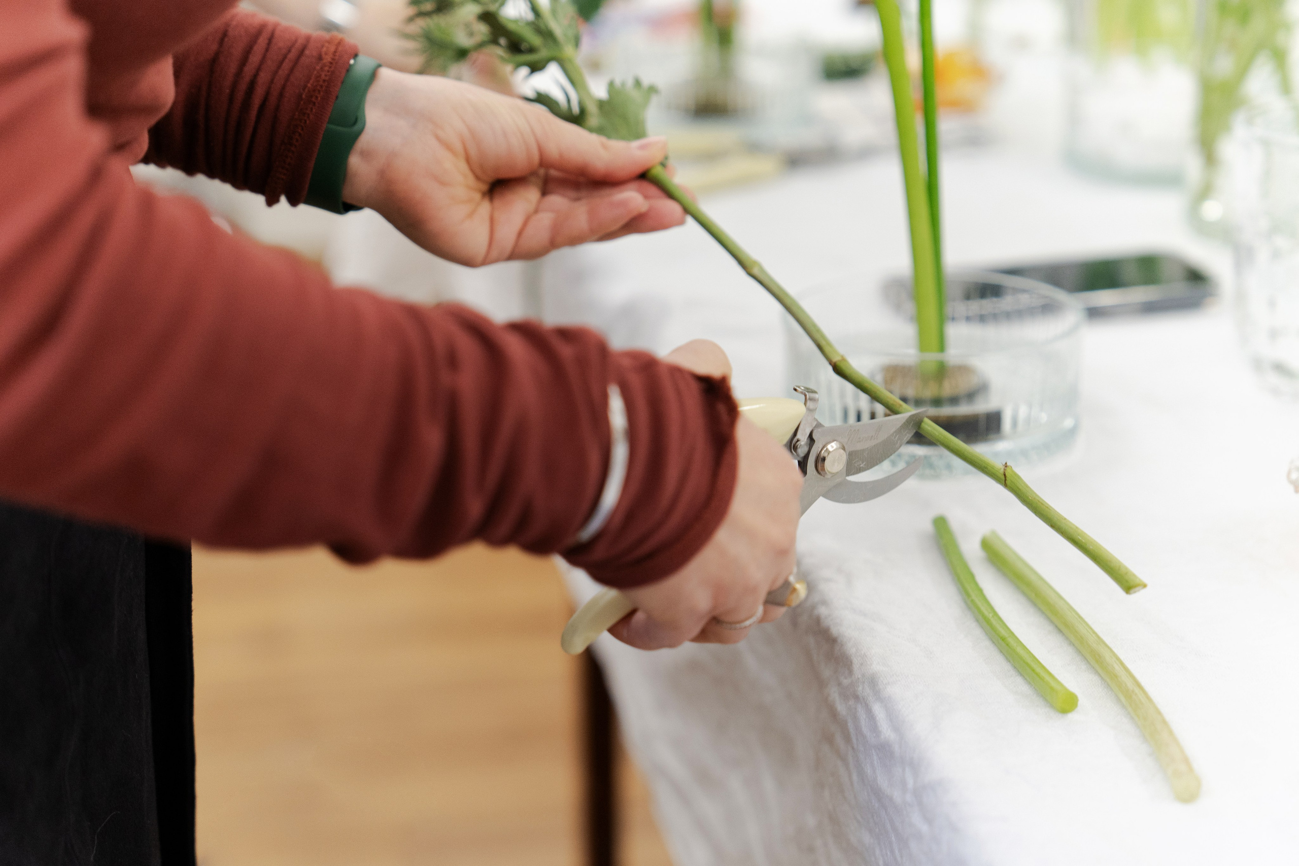 Цветочный мастер-класс. Портретный и репортажный фотограф Настя Климачева