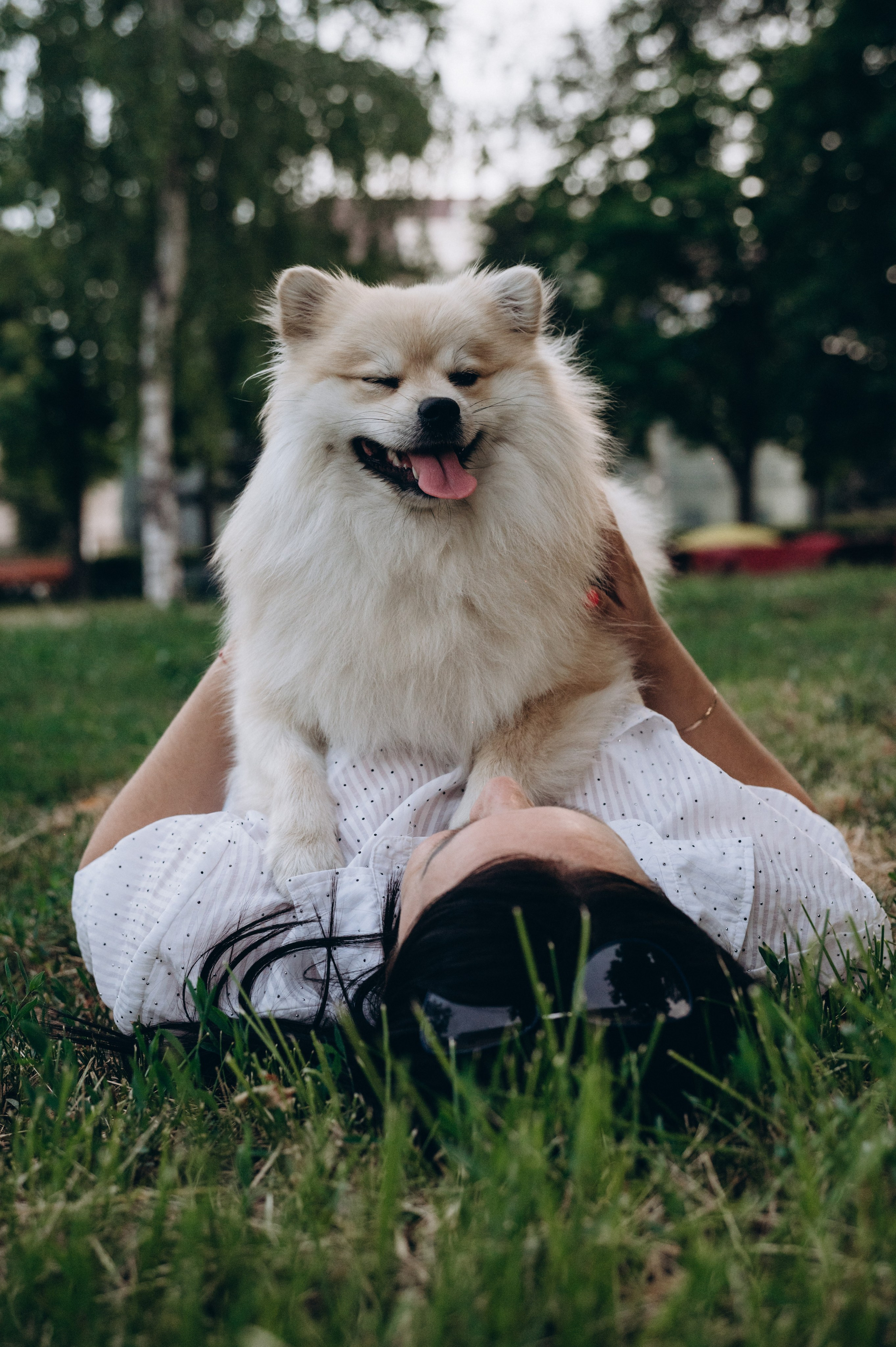 Любовь к животным. Мариуполь фото. Фотограф Мариуполь.Индивидуальные съёмки. Детские, семейные, коммерческие