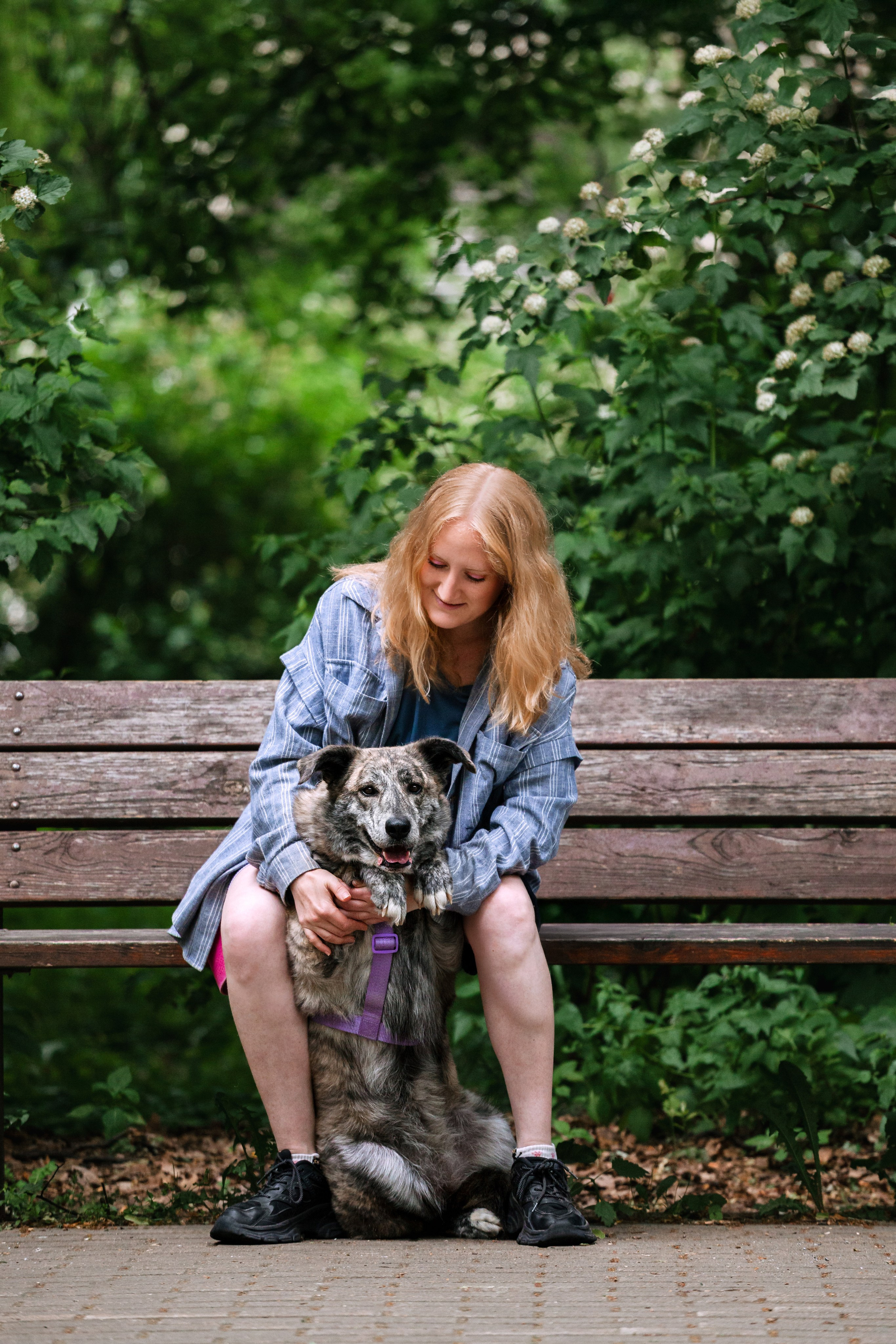 Собаки из приюта Дубовая роща лето 2025. Фотограф-анималист Татьяна Степанова