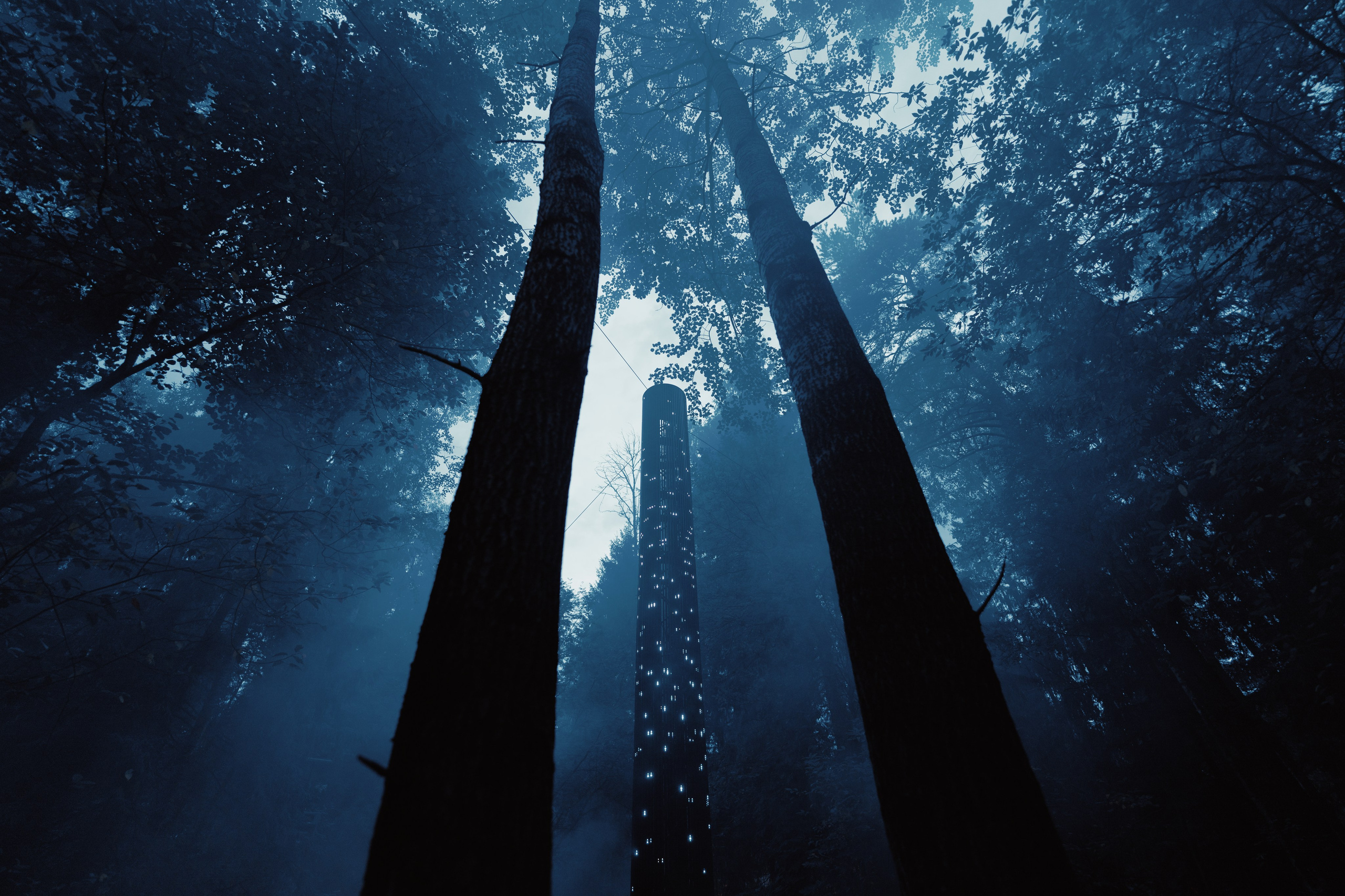 Outline 2024. @tomrus: Рустам Шагиморданов — фотограф