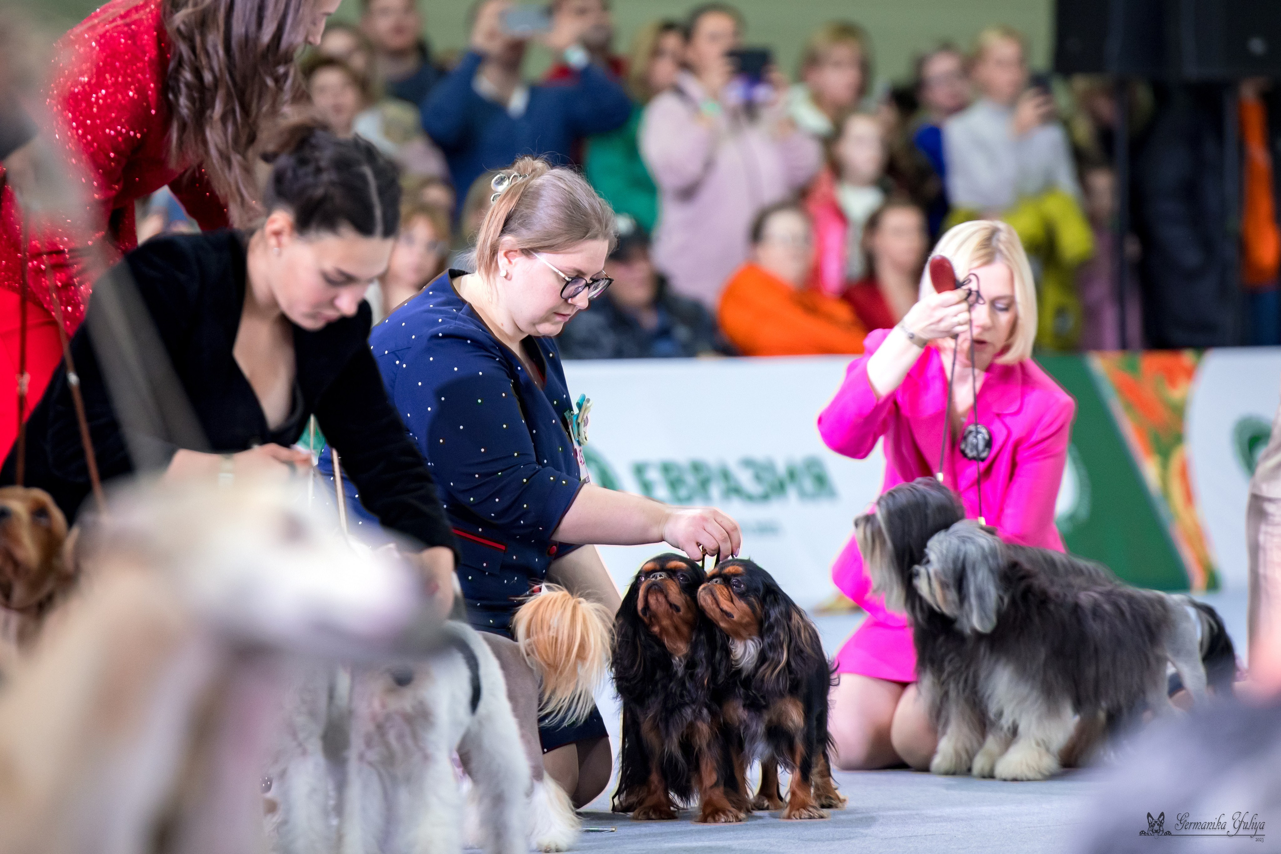 ЕВРАЗИЯ 18-19.11.2023. Фотограф-анималист Юлия Германика