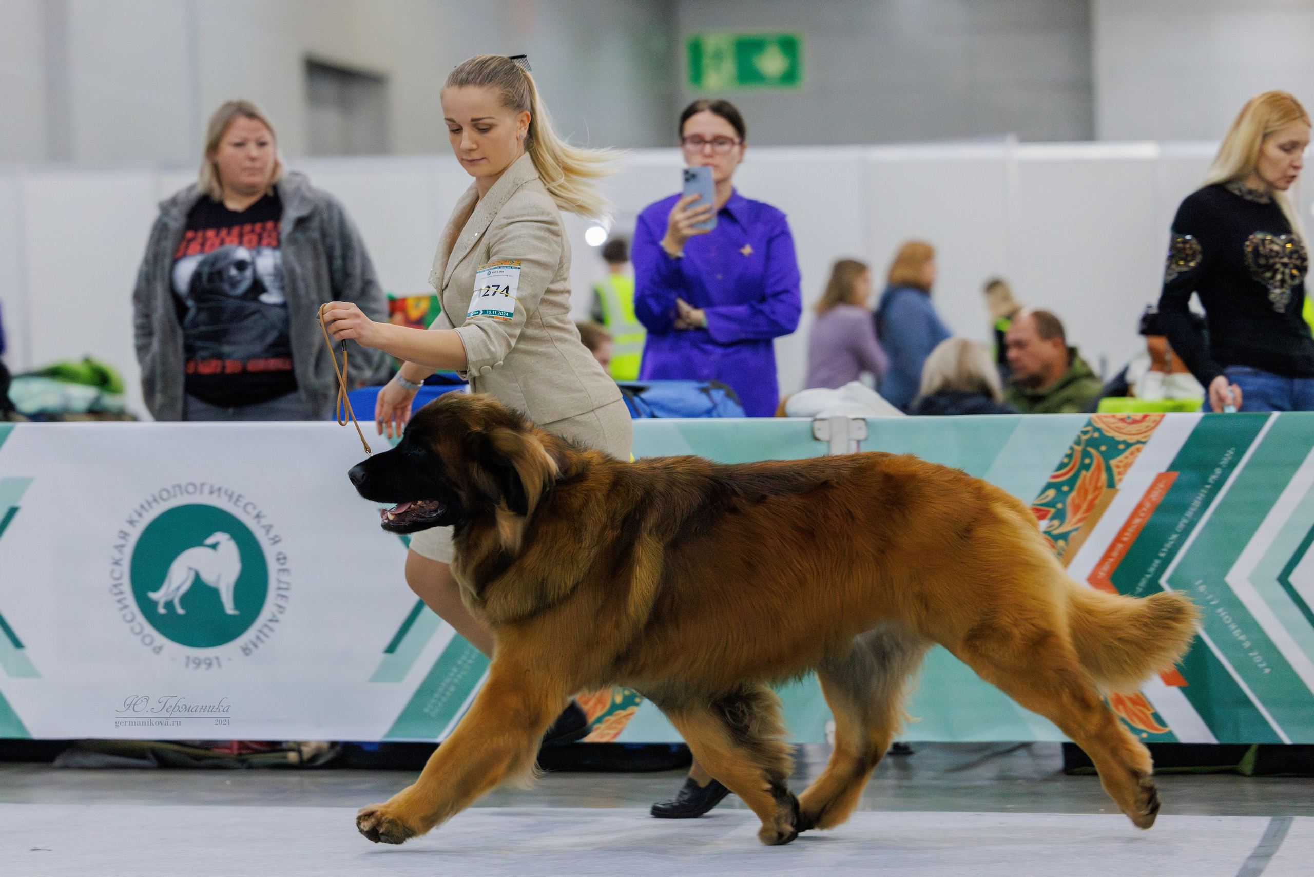 Евразия 16-17.11.2024. Фотограф-анималист Юлия Германика
