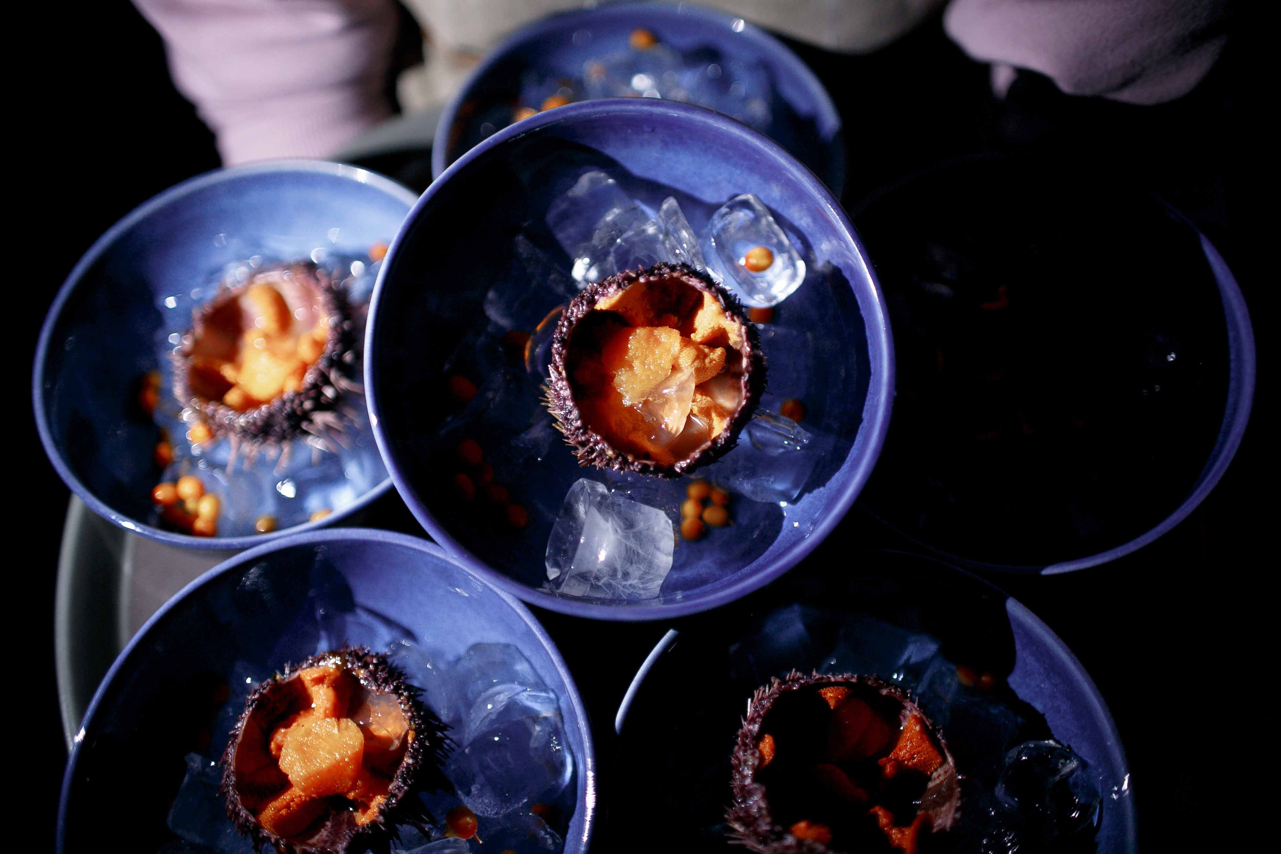 Гастроужин в «Белом кролике». Ваш репортажный фотограф Артемий Антонов