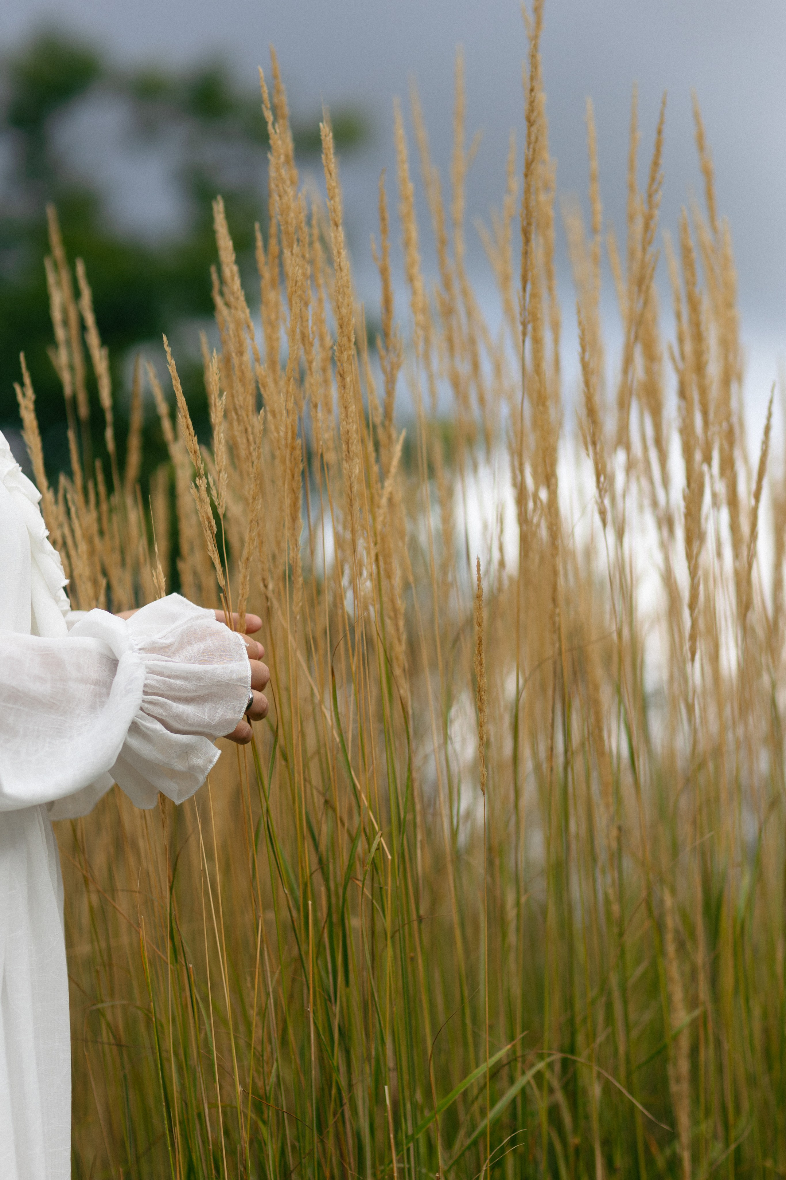 Денис и Ольга. @dariazphoto свадебный фотограф