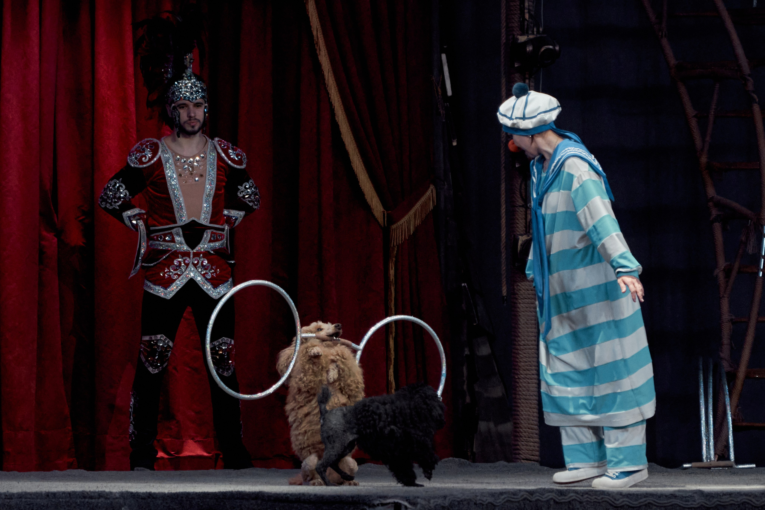 Цирк «На воде». Фотограф