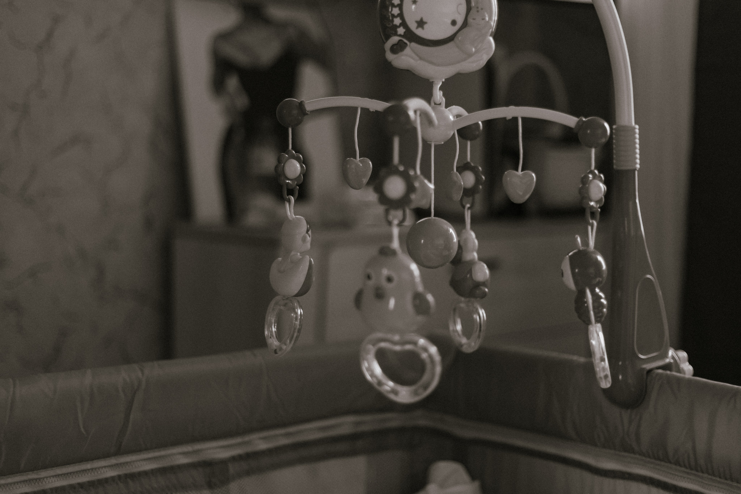 Семья Мелиховых. Фотограф Акимова Дарья Санкт-Петербург, Михайловка