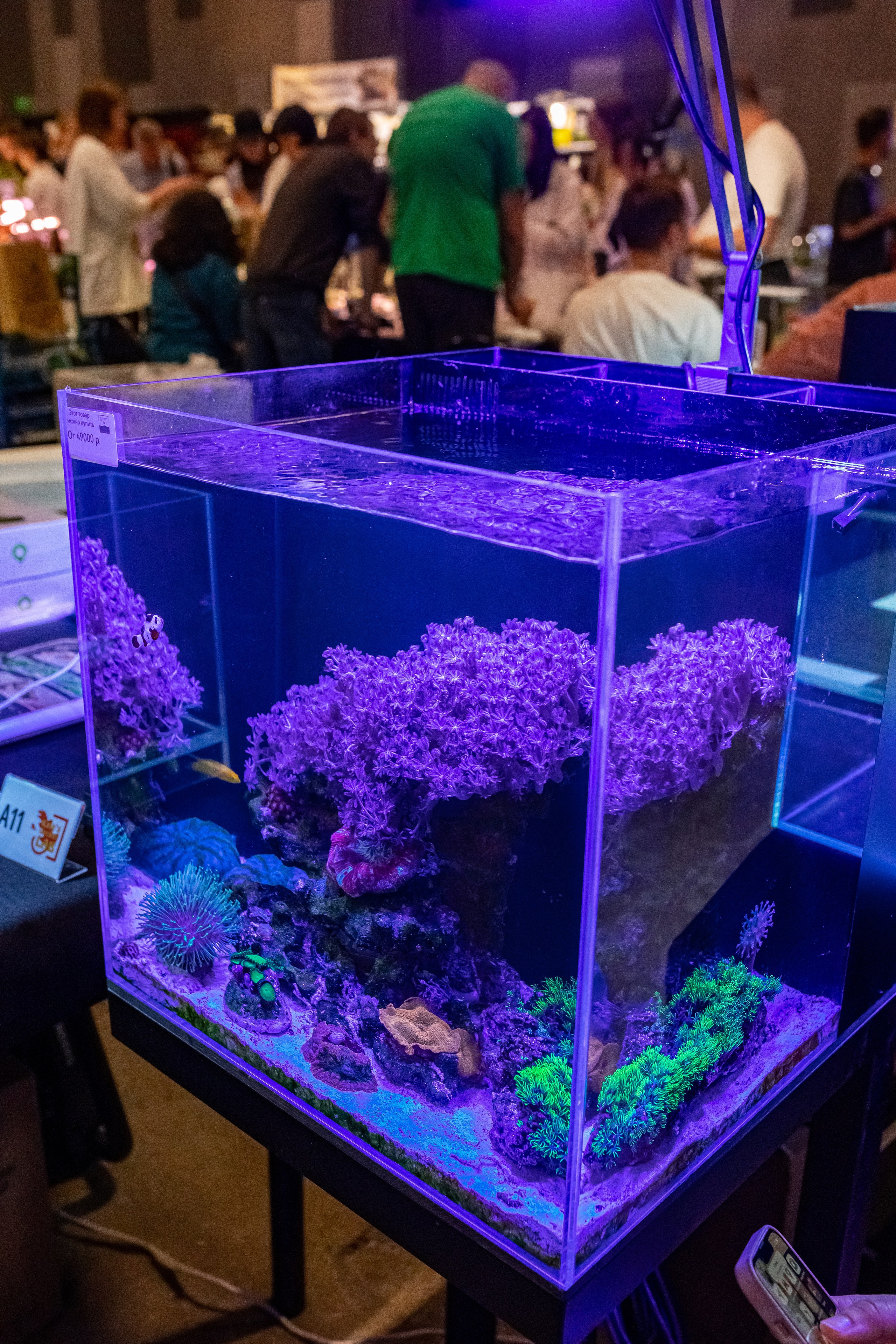 Рептилиум 2024. Александра Куликова фотограф, Москва