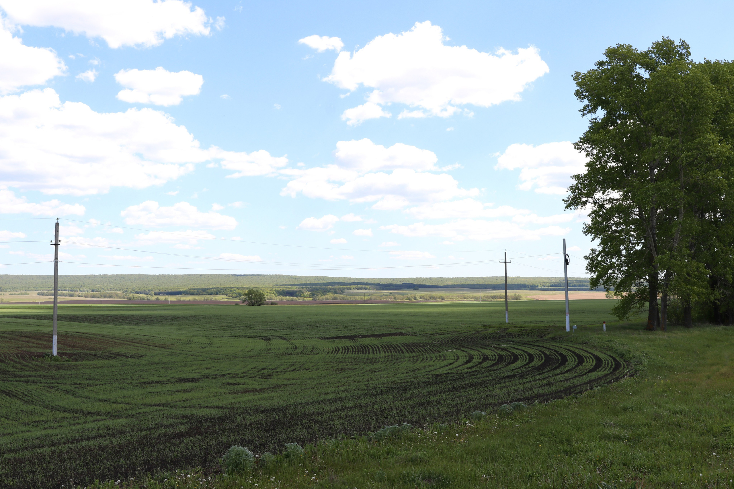 Велопоход Уфа — Мелеуз. Май 2024. Путешественник-фотограф из Санкт-Петербурга Татьяна Свистулина