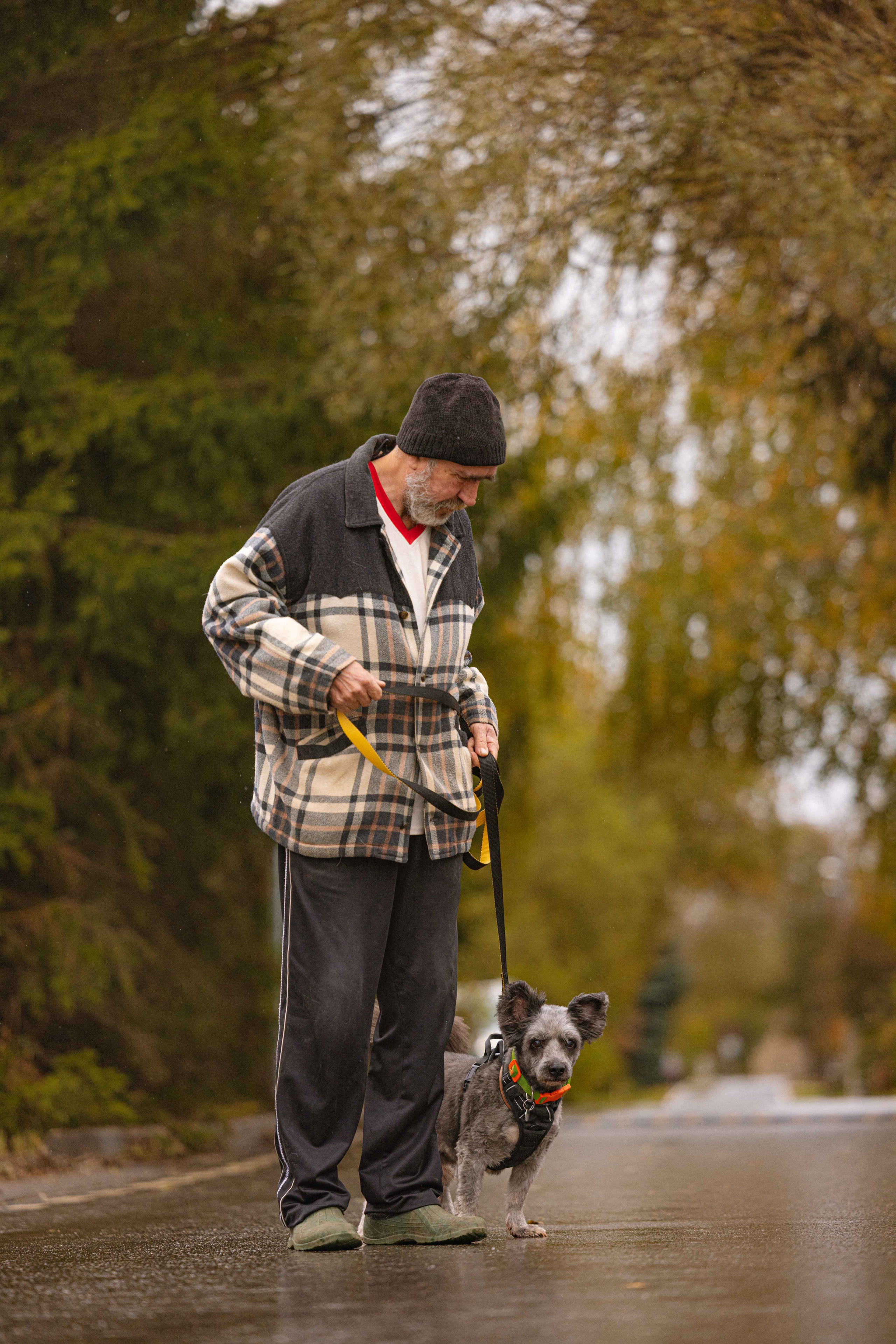 Передержка. Фотограф-анималист в Москве Лера Черноног