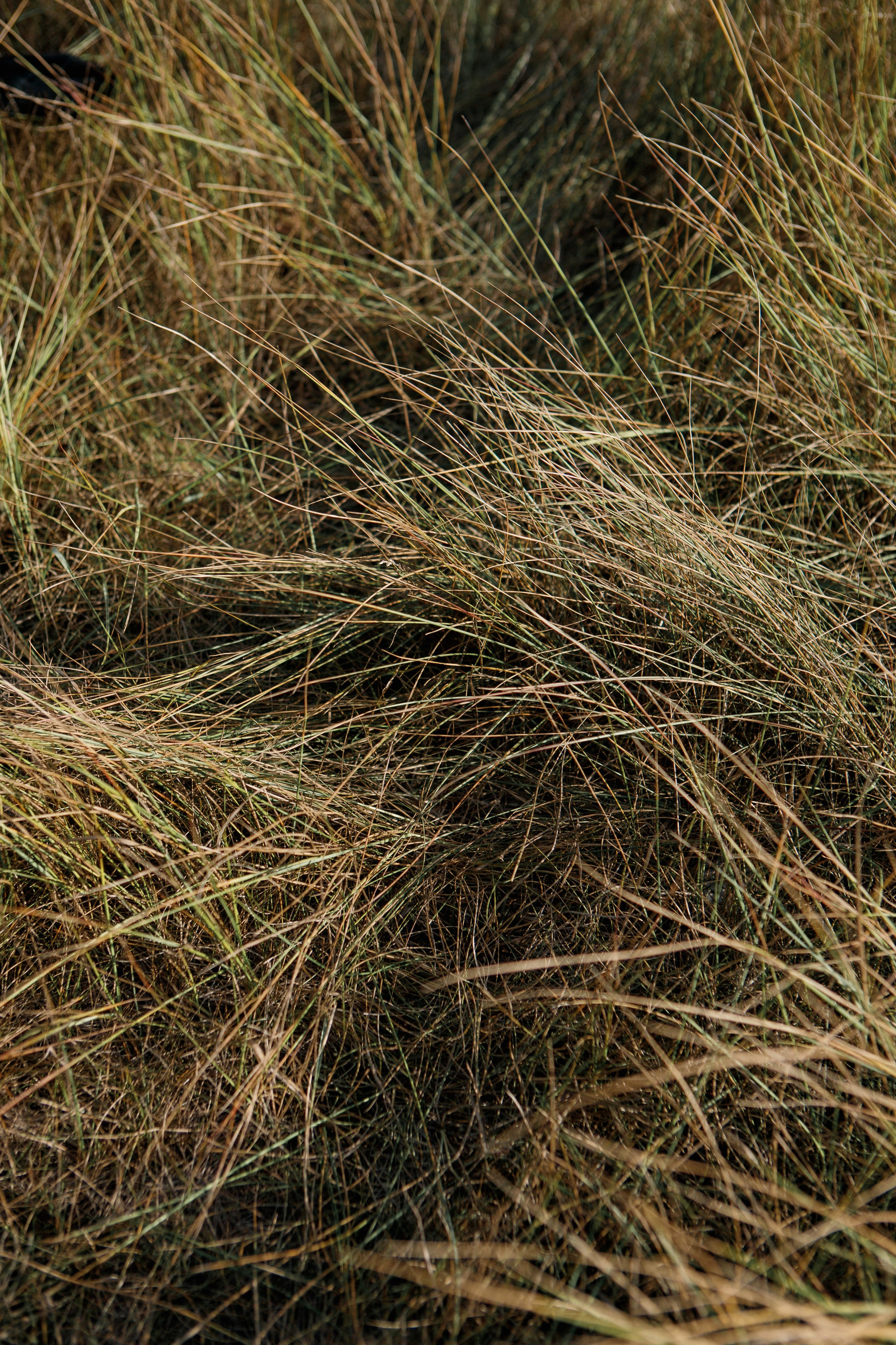 Backstage. Съемка клипа в поле. Фотограф Анастасия Кулешова