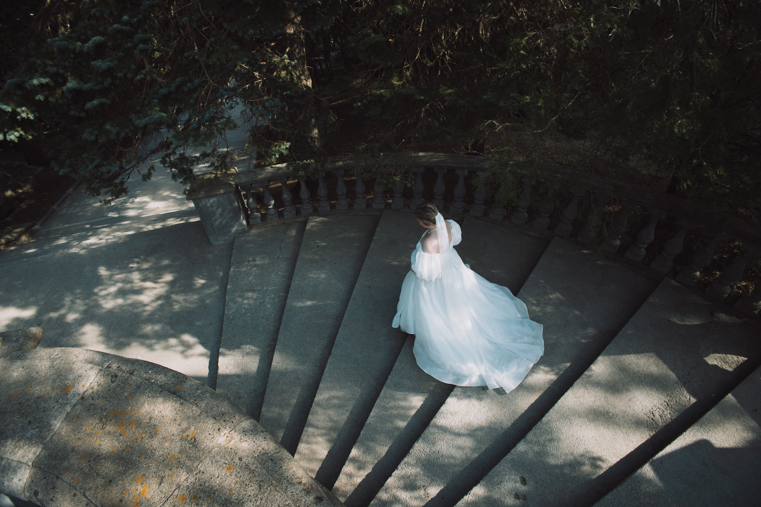 Владимир и Софья. Свадебный фотограф в Ставрополе Ксения Ковальчук