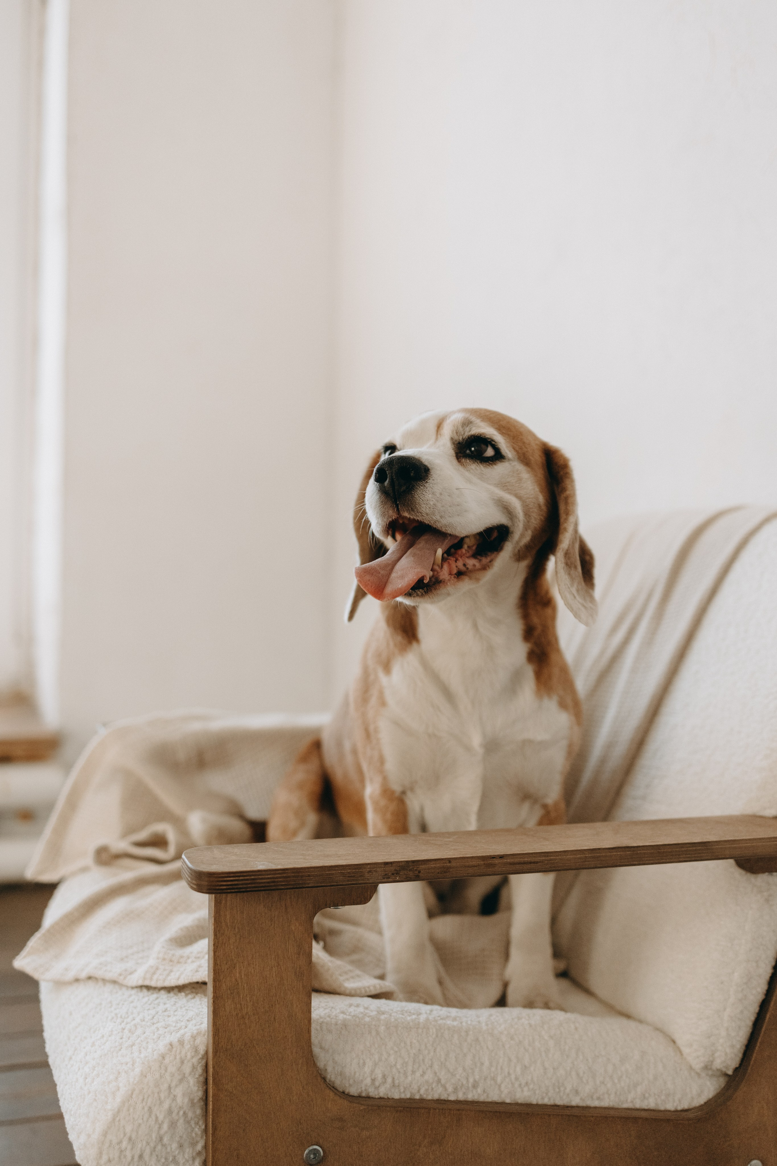 Даня и его семья. Фотограф — Анималист | Санкт-Петербург