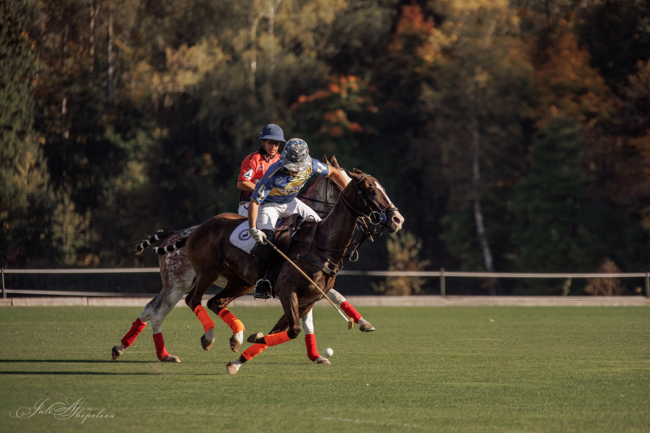 Осенний кубок по конному поло. Детская Конная фотография в Москве Юлия Шепелева
