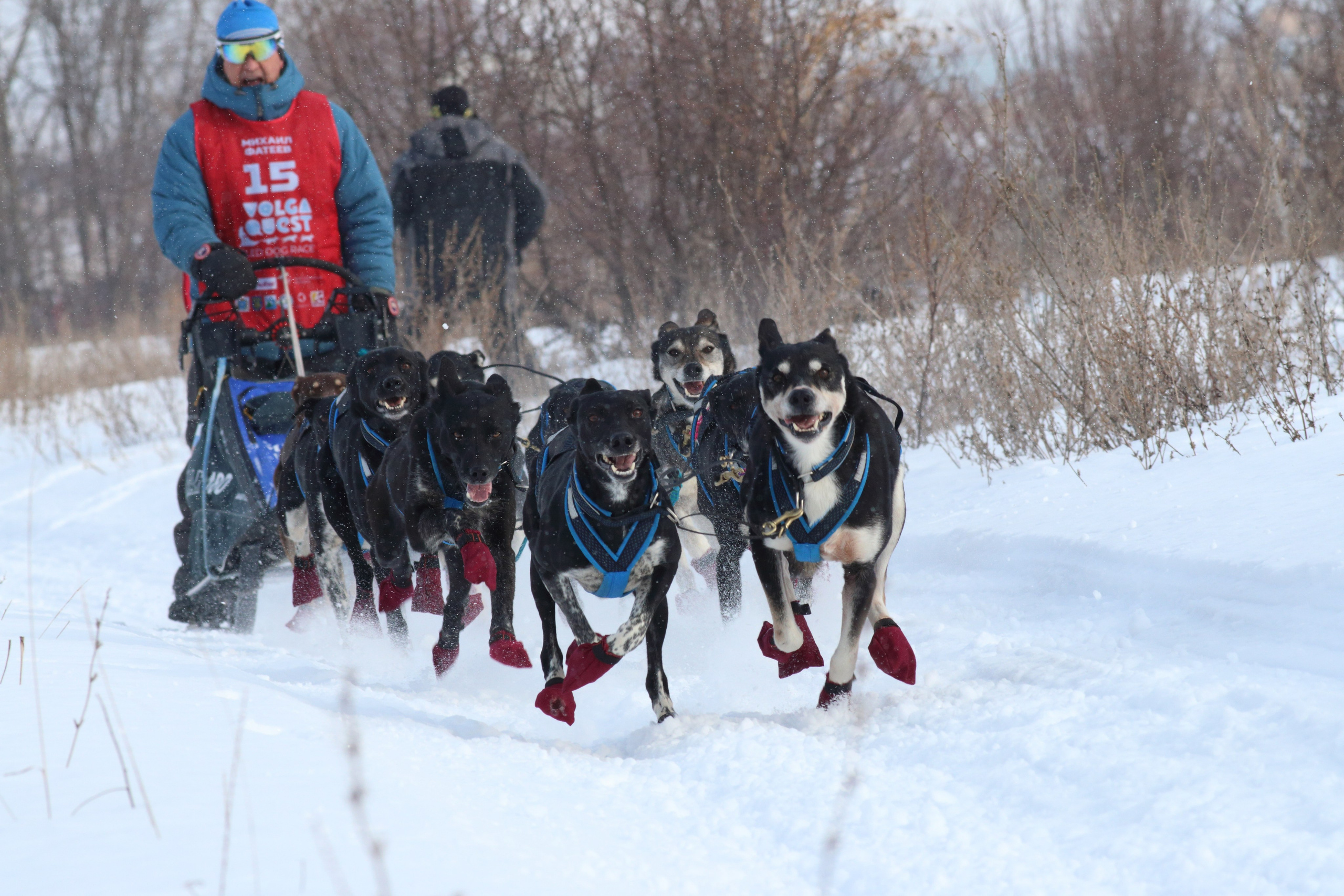 08.02.2020 Ширяево. Гонка на собаках. Фотообъединение Самарского областного отделения Союза журналистов России