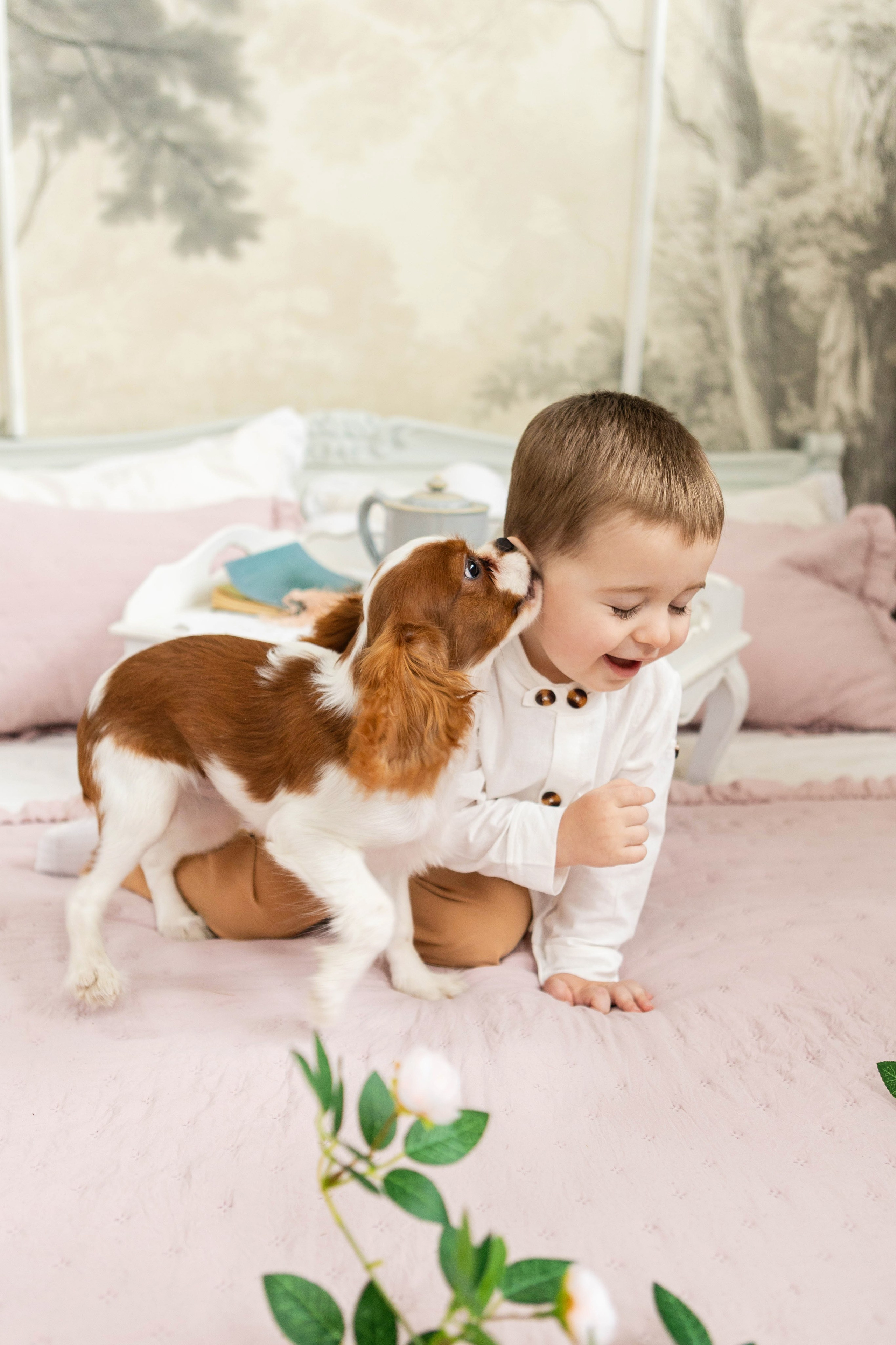 Фотосессия со щенками кавалер кинг чарльз спаниэль. Свадебный семейный и детский фотограф в Краснодаре Карина Федоровская