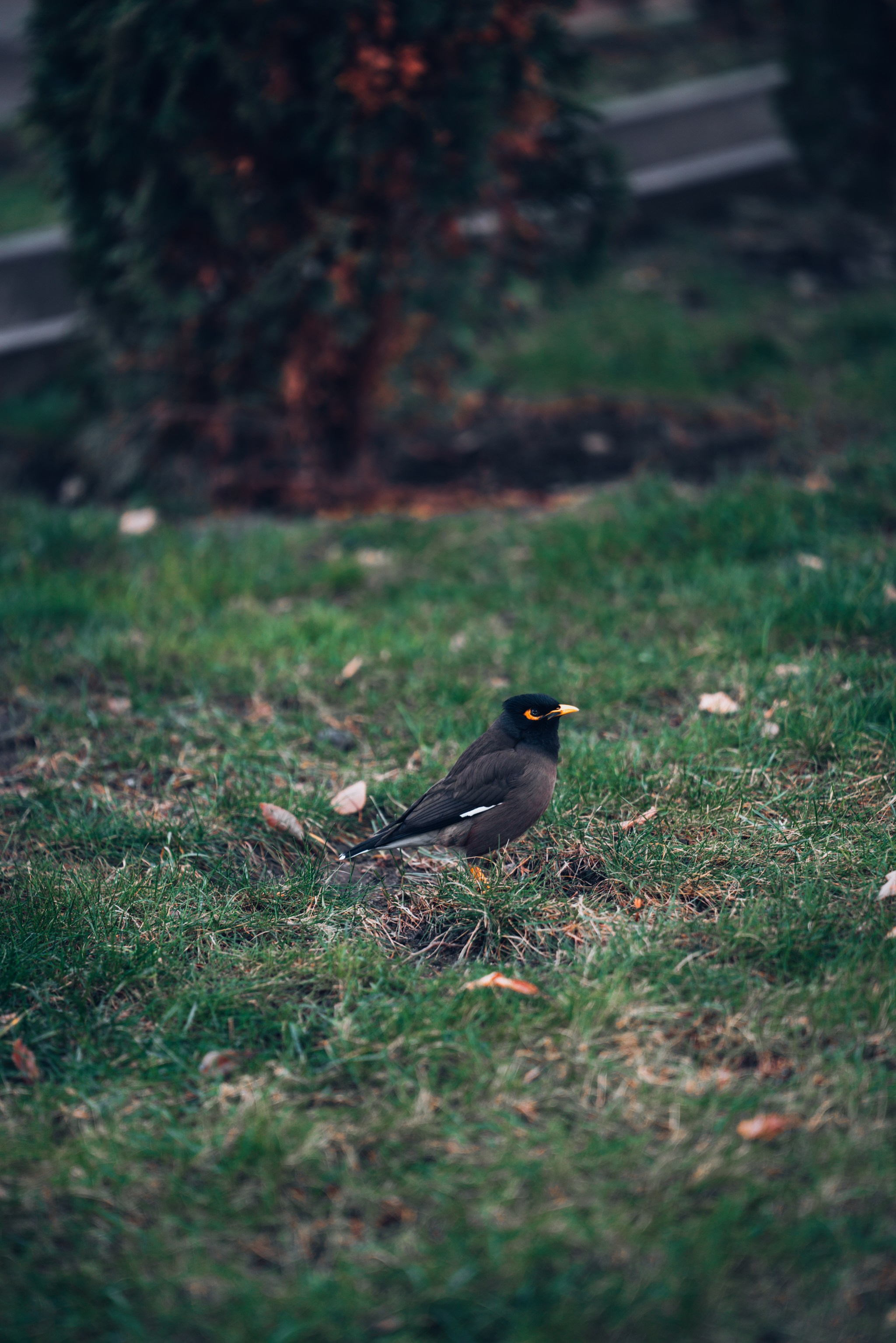 Алматы, Декабрь 2024